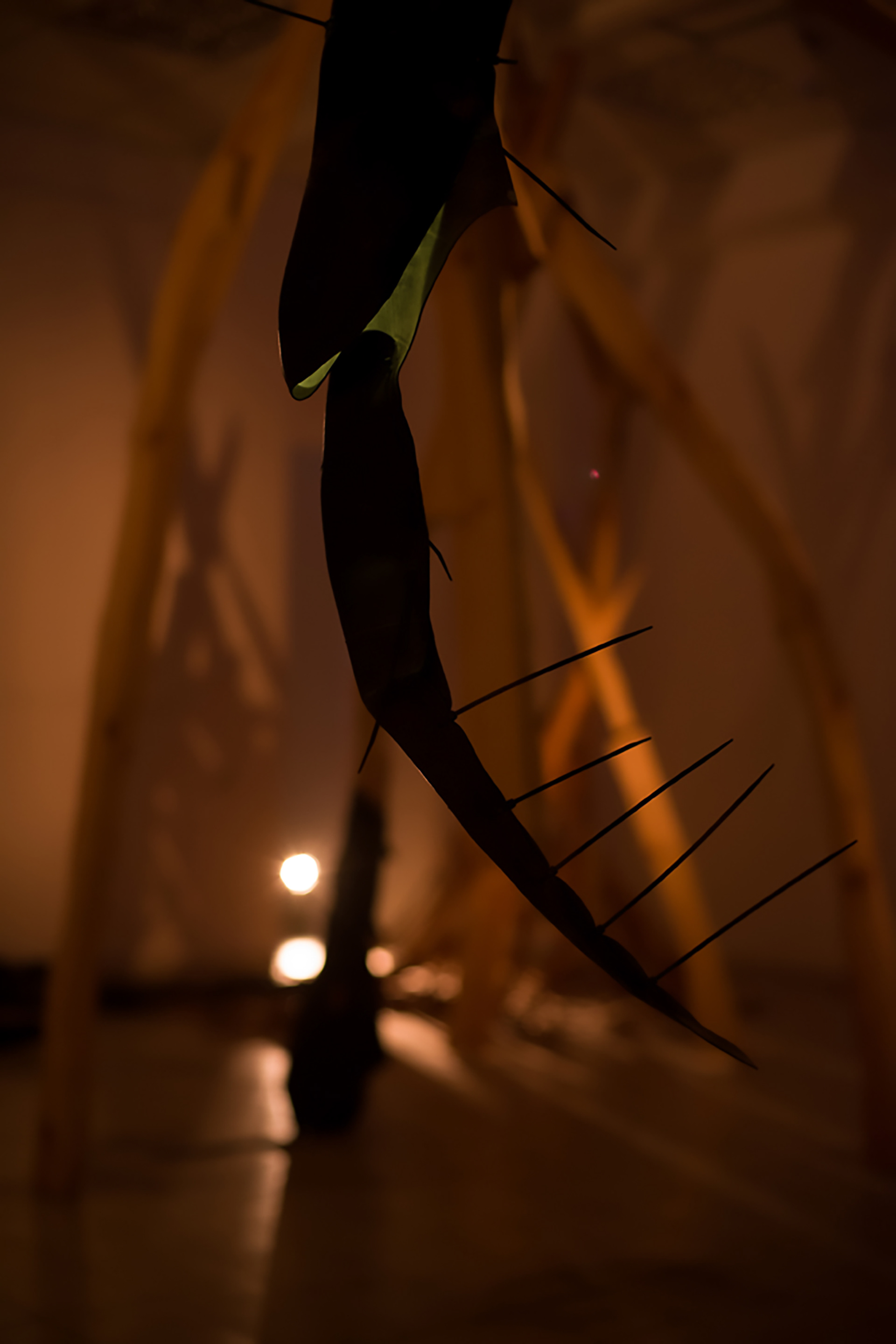 The Phoenix Project | detail | 2012 | wood, inner tube, cable tie, LED lights | varying sizes | Photography: Youval Hai