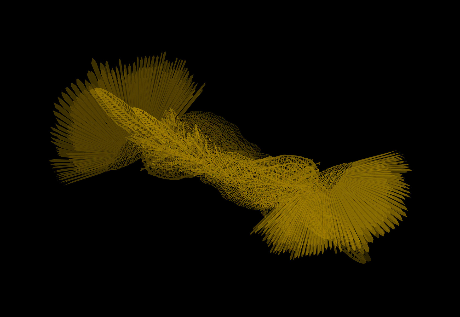 Metamorphosis 2.0 | print on acrylic glass | 200x120 cm