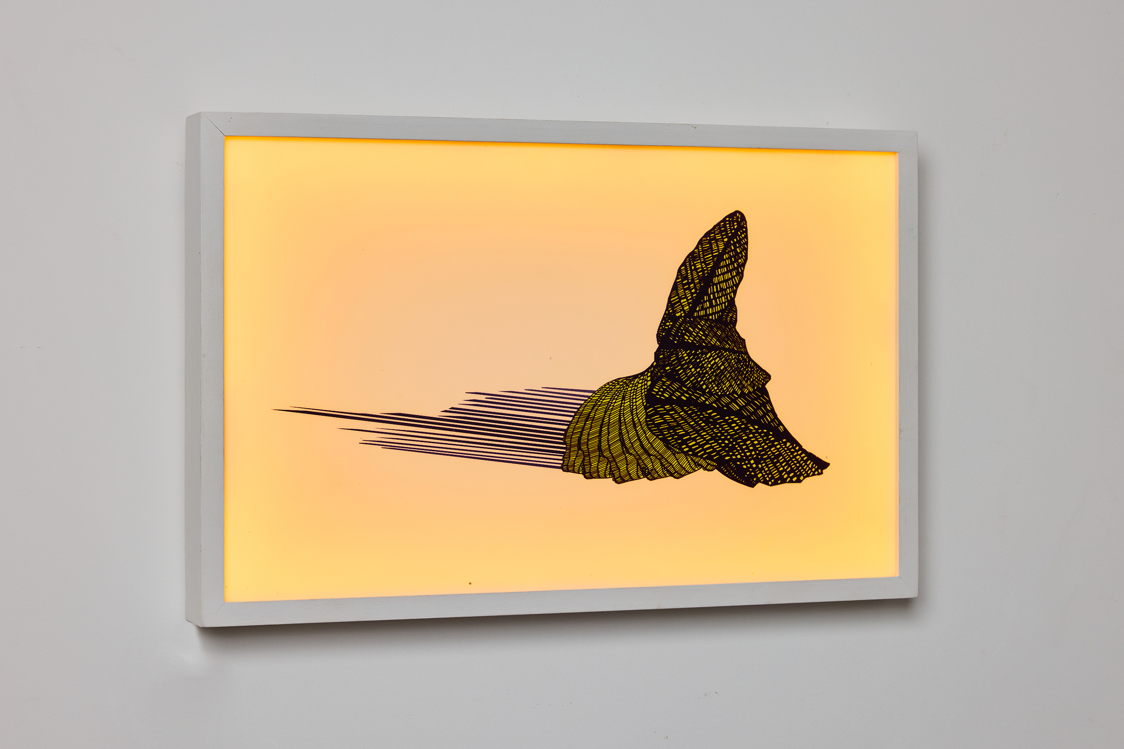 Metor | 2024 | transparencies, wood, perspex, LED lights | 42x27x4.5 cm