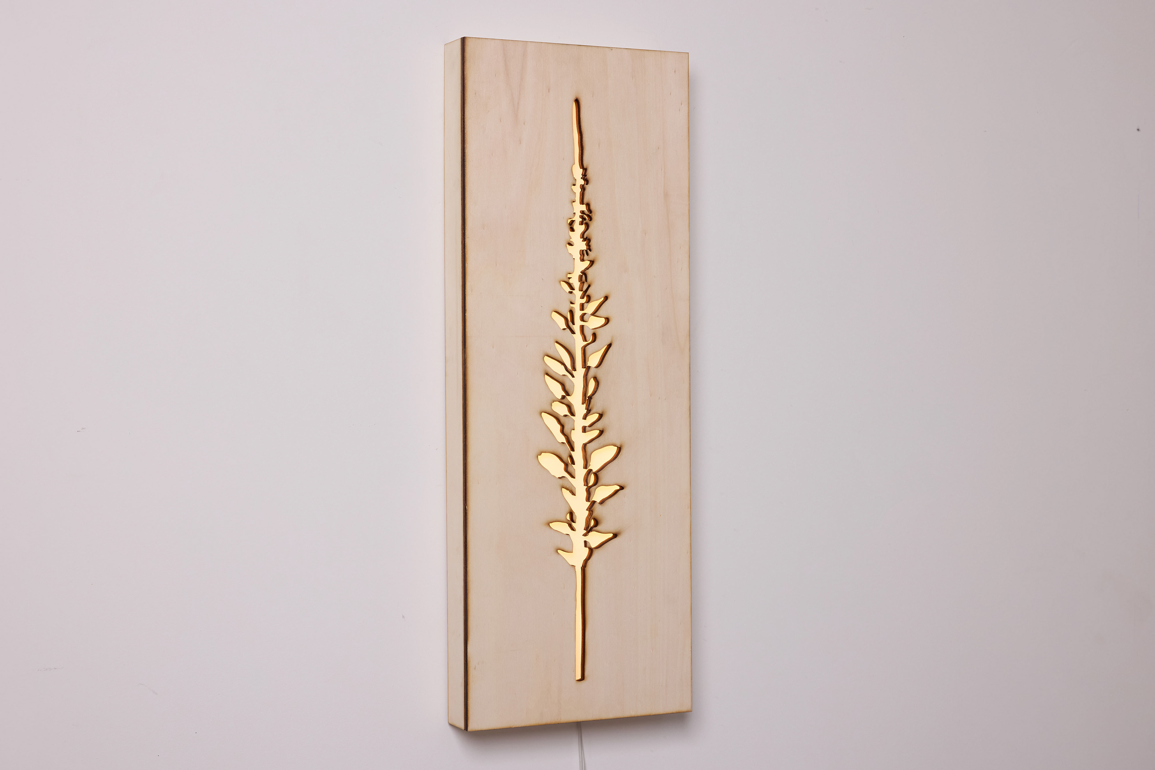 Squill No.6 | 2026 | wood, perspex, LED lights | 60x22x5 cm
