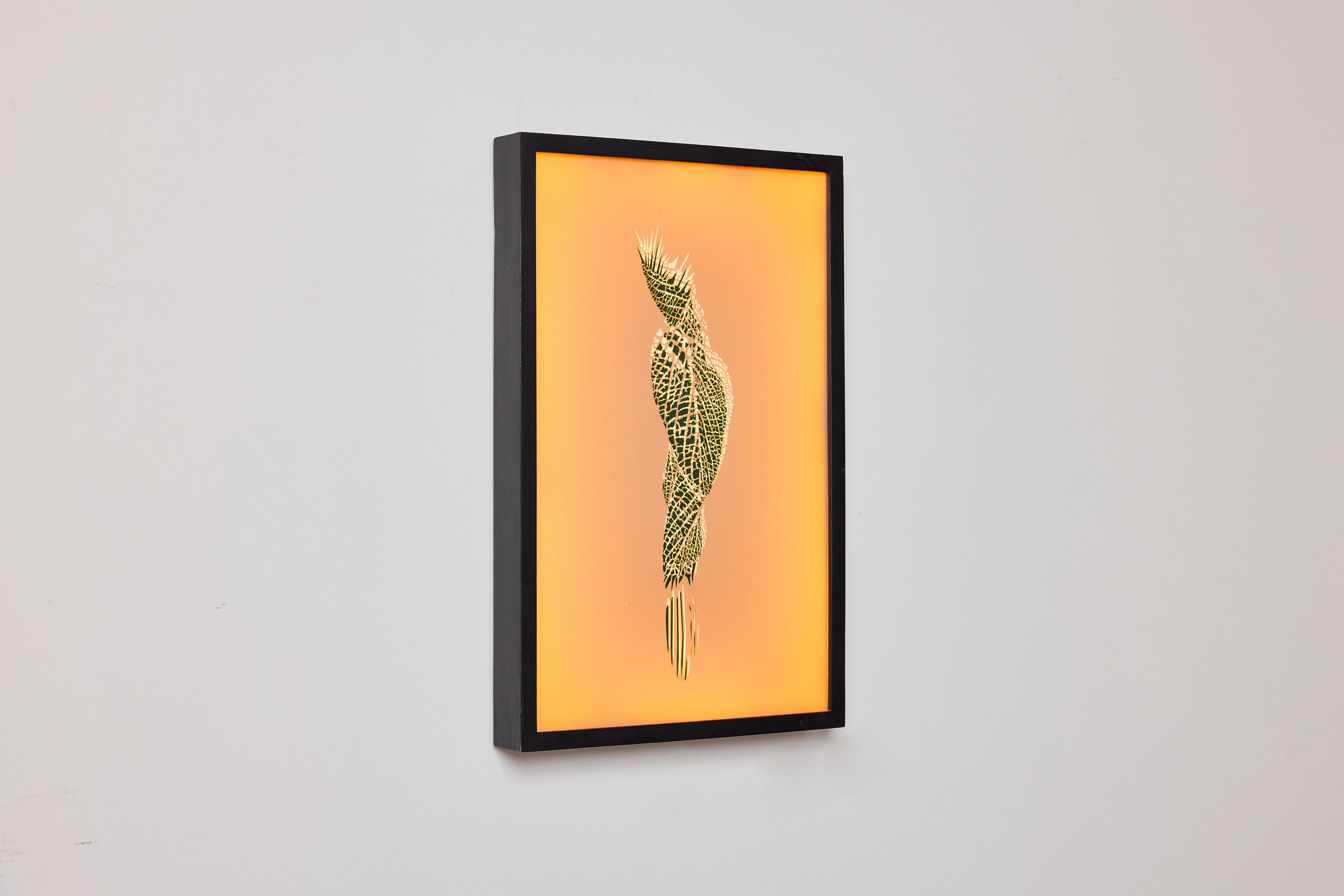 Concealed | 2024 | transparencies, wood, perspex, LED lights | 42x27x4.5 cm