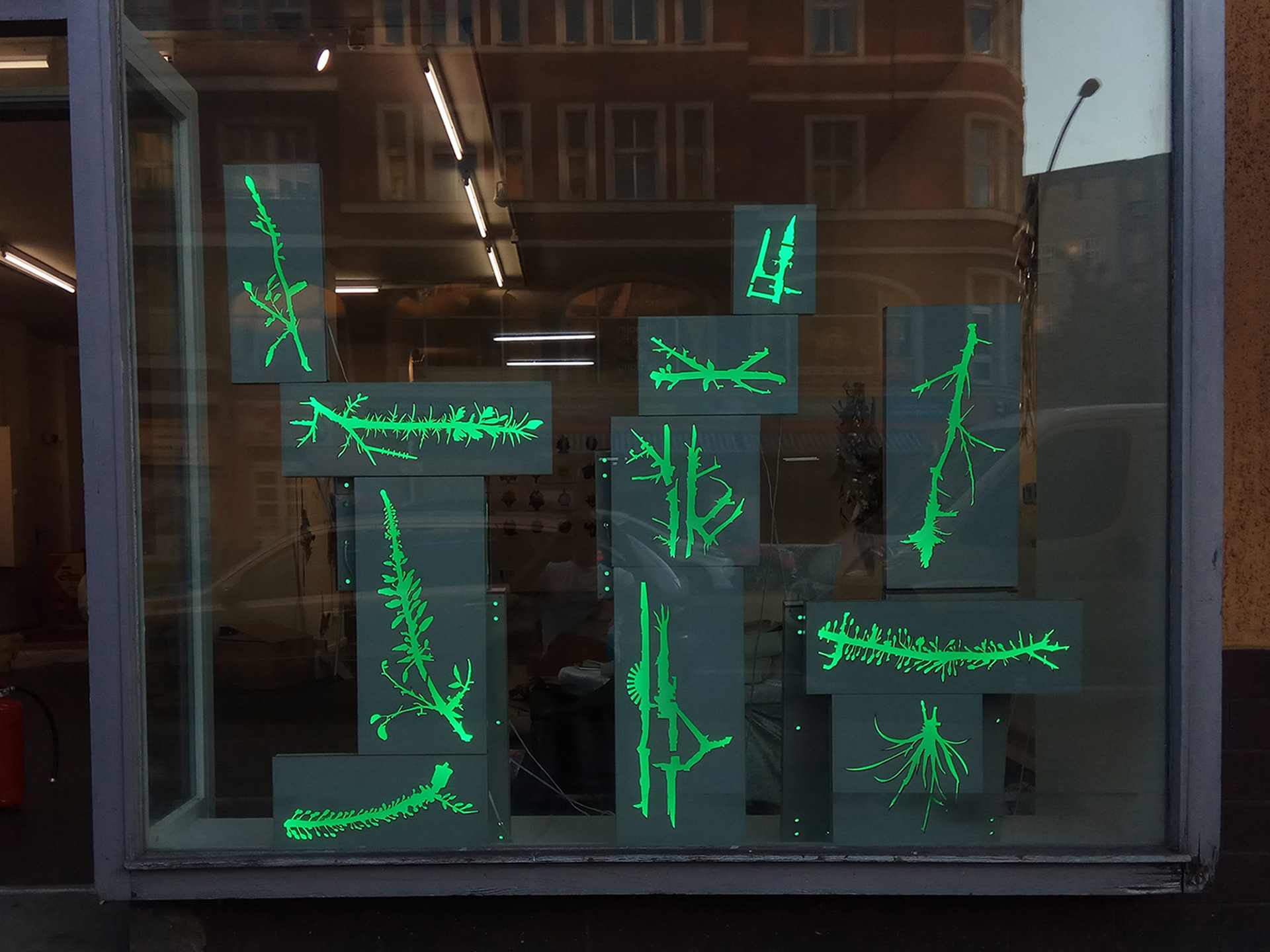 Growth | Installation view | 2018 | Circle1 gallery | Berlin, Germany | Wood, Laser cutting, Paint, LED lights