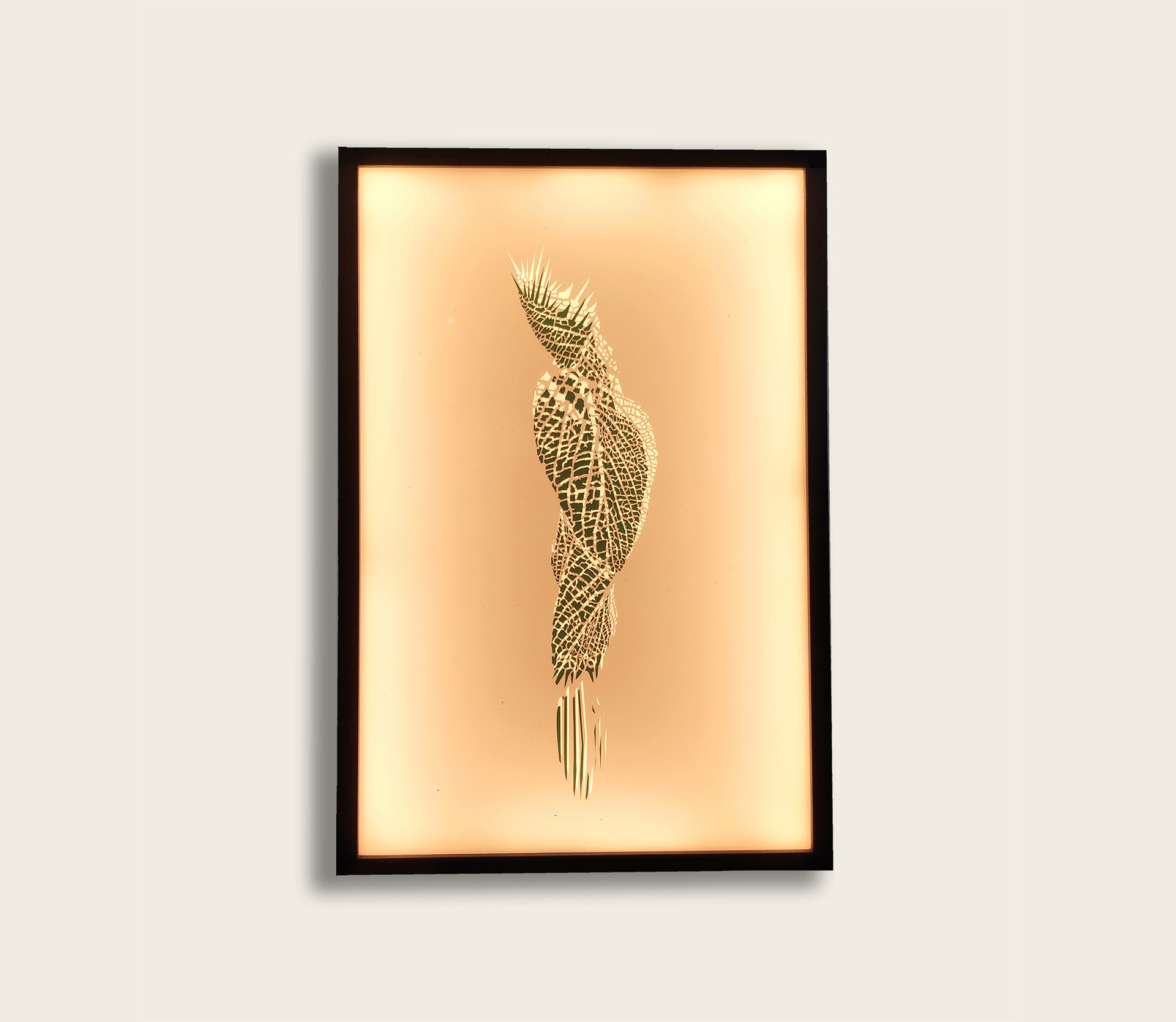 Concealed | 2024 | transparencies, wood, perspex, LED lights | 42x27x4.5 cm