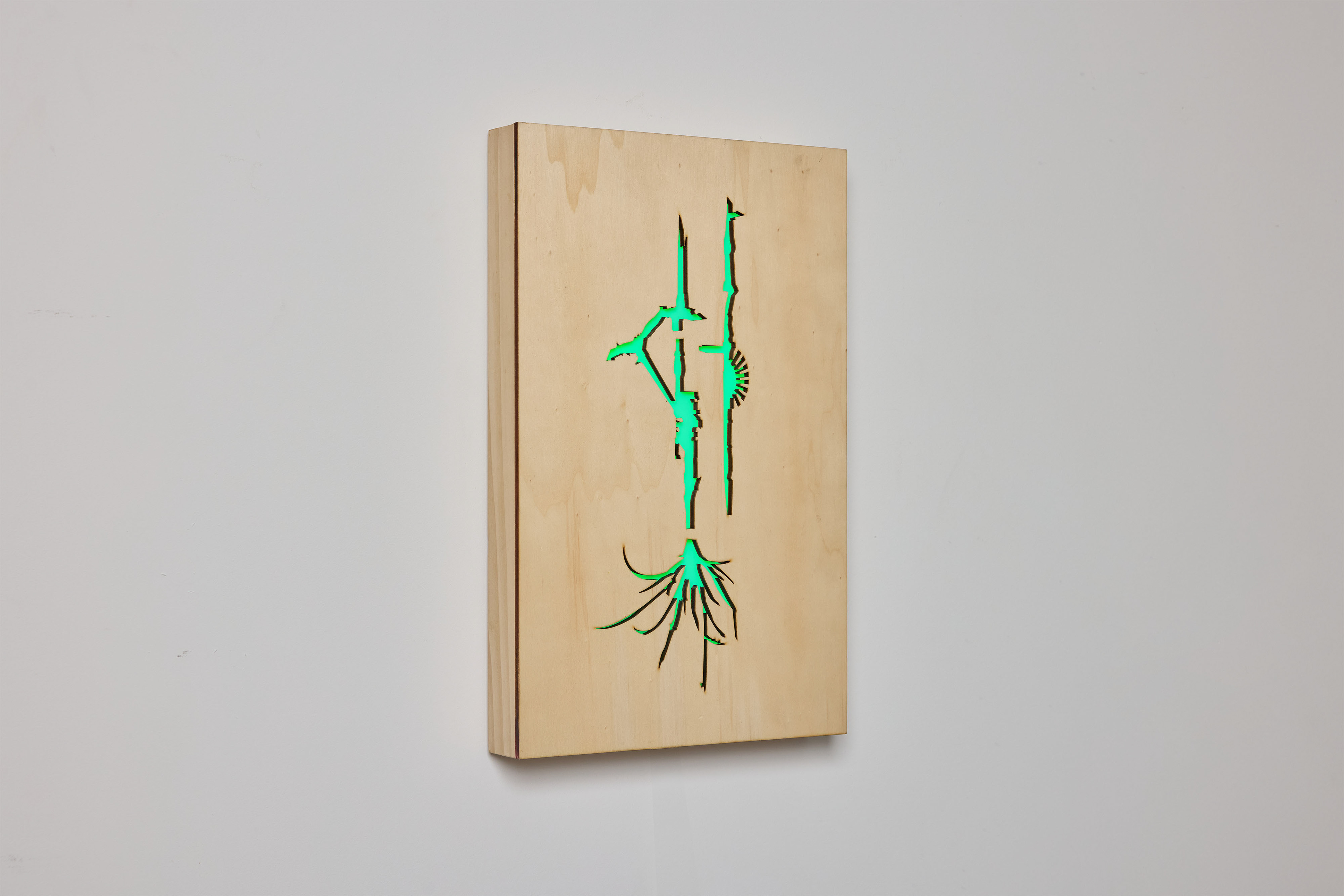 Propagated | 2024 | wood, perspex, LED lights | 42x27x4.5 cm