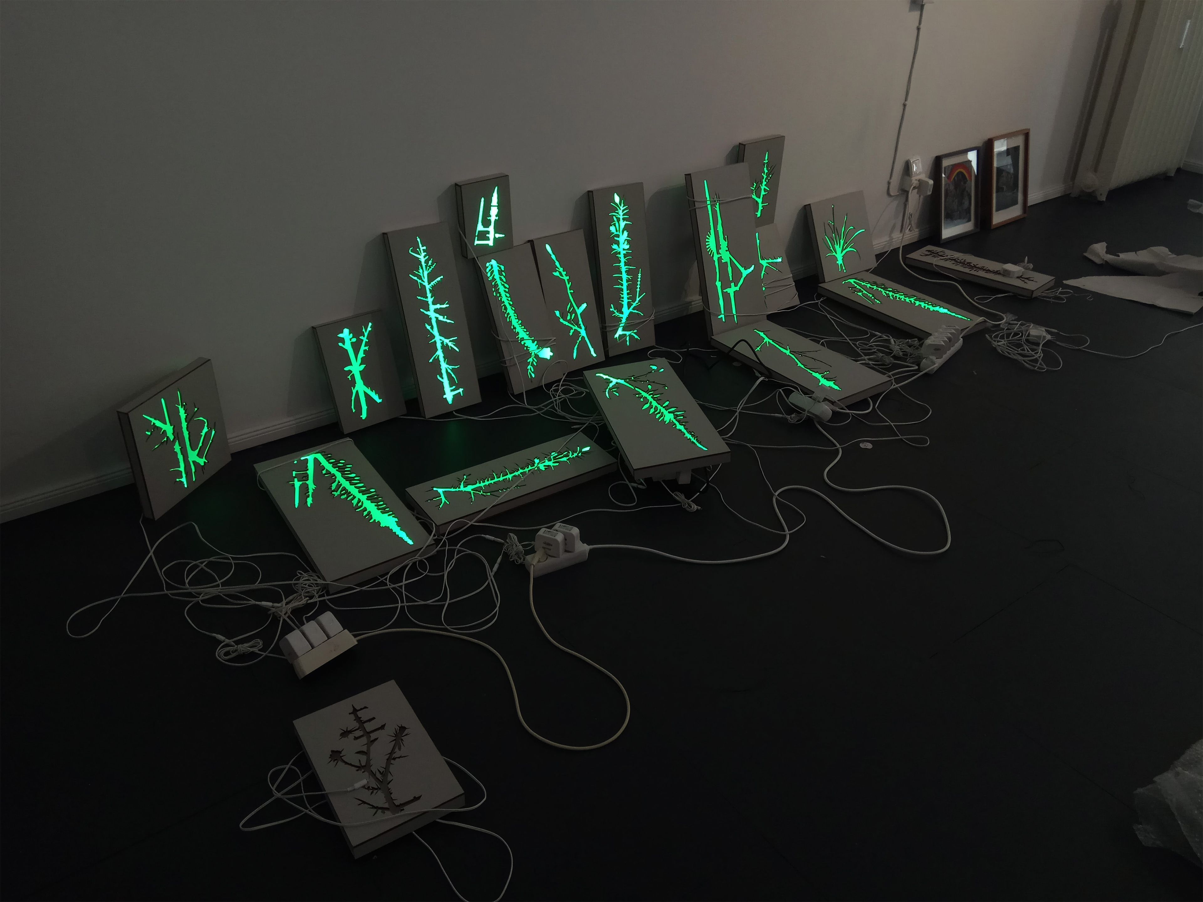 Growth | work in progress | 2018 | Circle1 gallery, Berlin, Germany | Wood, Laser cutting, Paint, LED lights