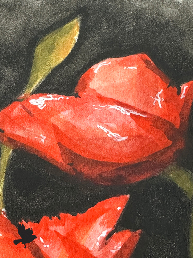 Three Poppies - 2025