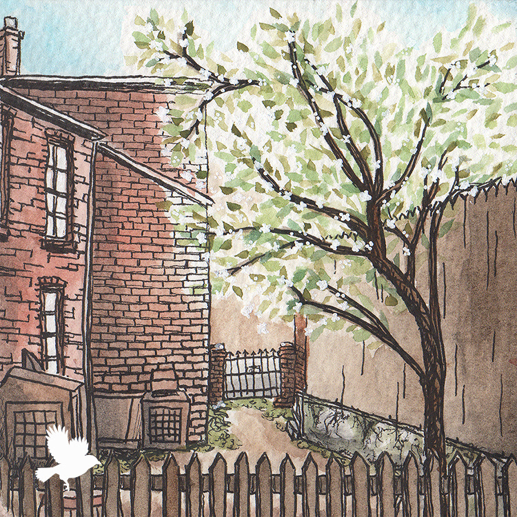 Boston Alleyway in Spring - 2024