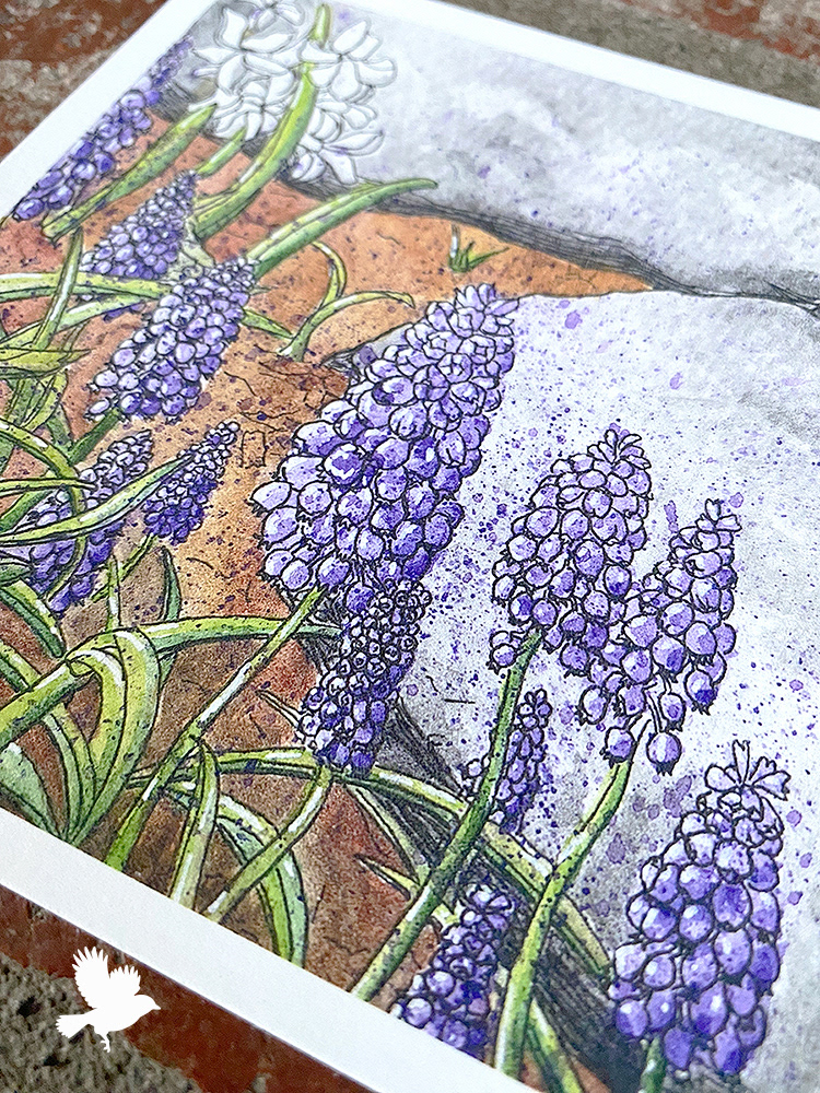 Spring Flowers - 2024