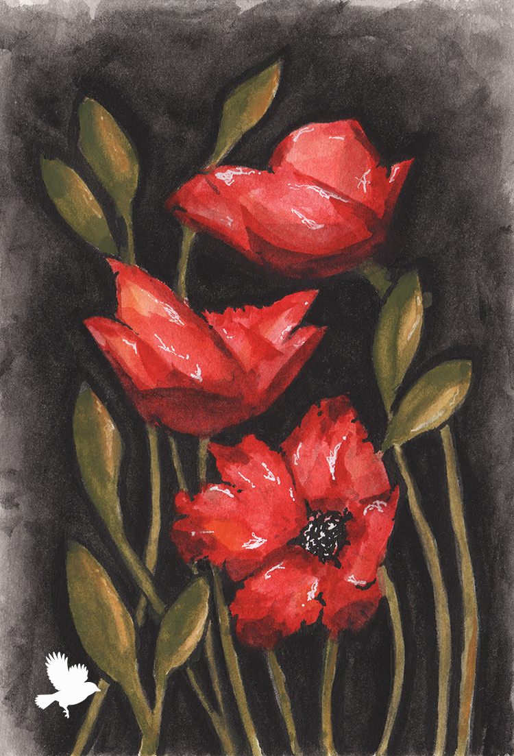 Three Poppies - 2025
