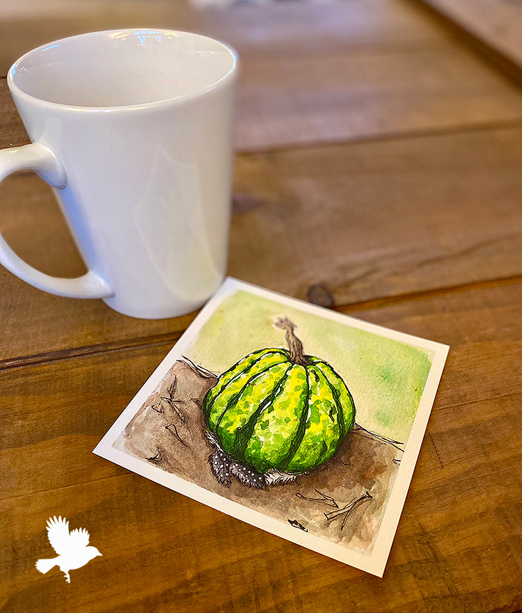 Sweet Dumpling Pumpkin - 2024
