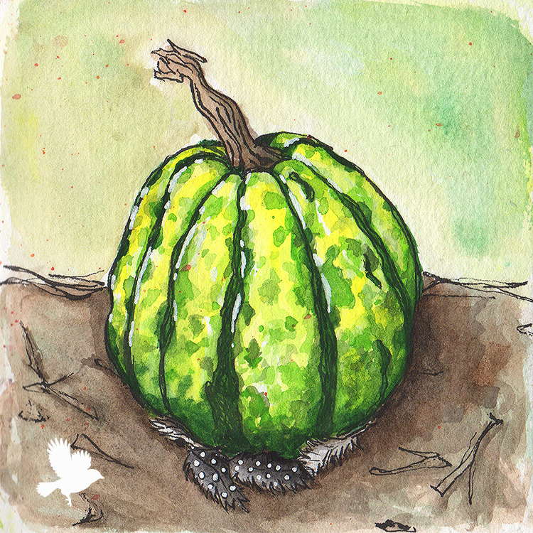 Sweet Dumpling Pumpkin - 2024
