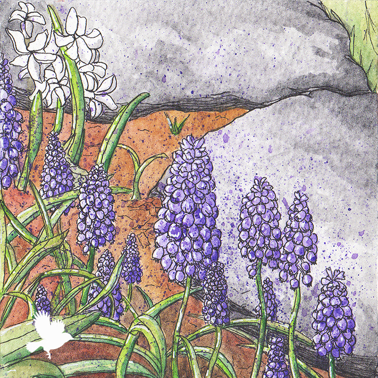 Spring Flowers - 2024