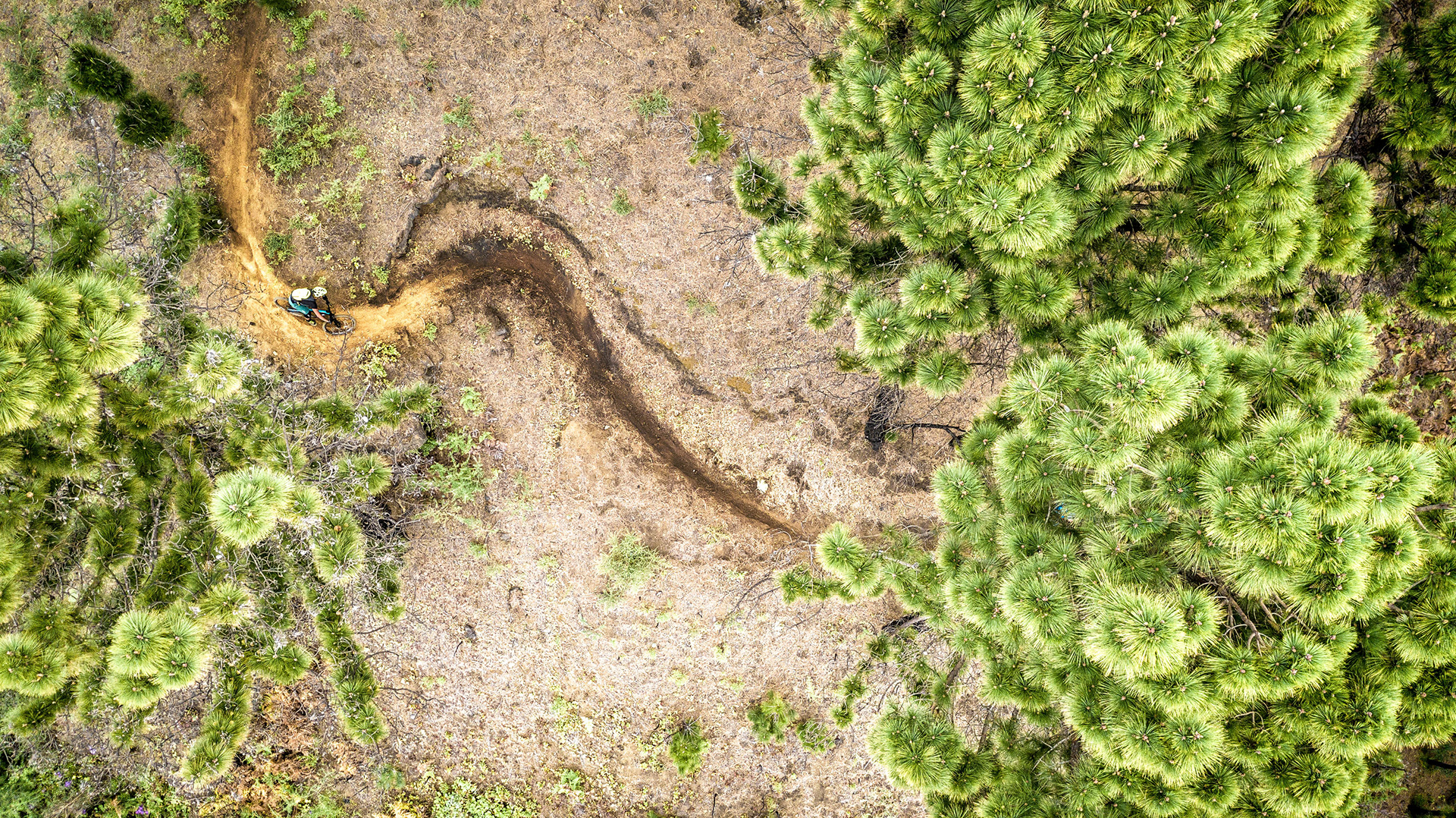 Fotoproduktion für Canyon auf La Palma – Foto: Skyshot/Markus Greber