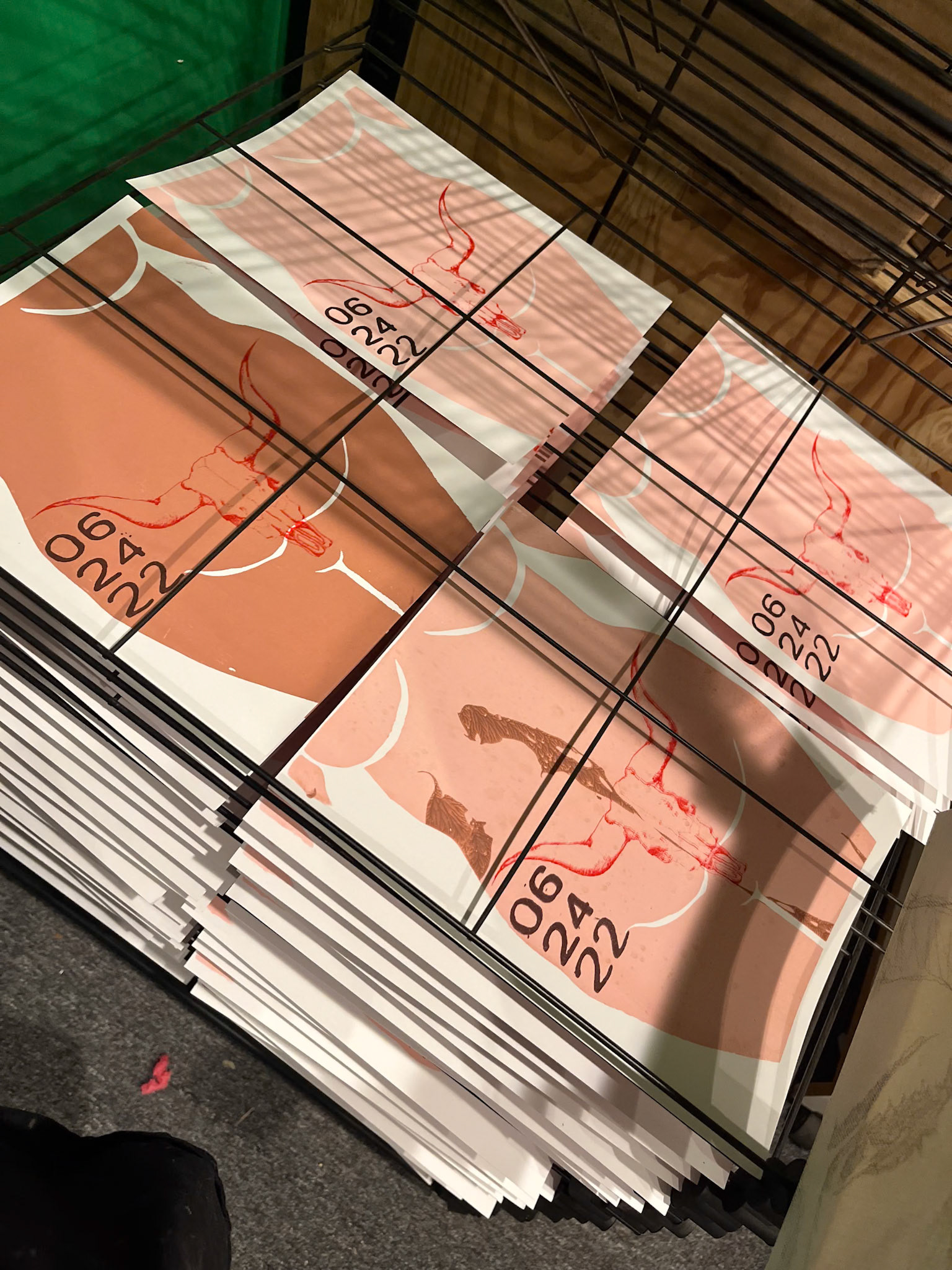 Studio shot... aiming for 500.