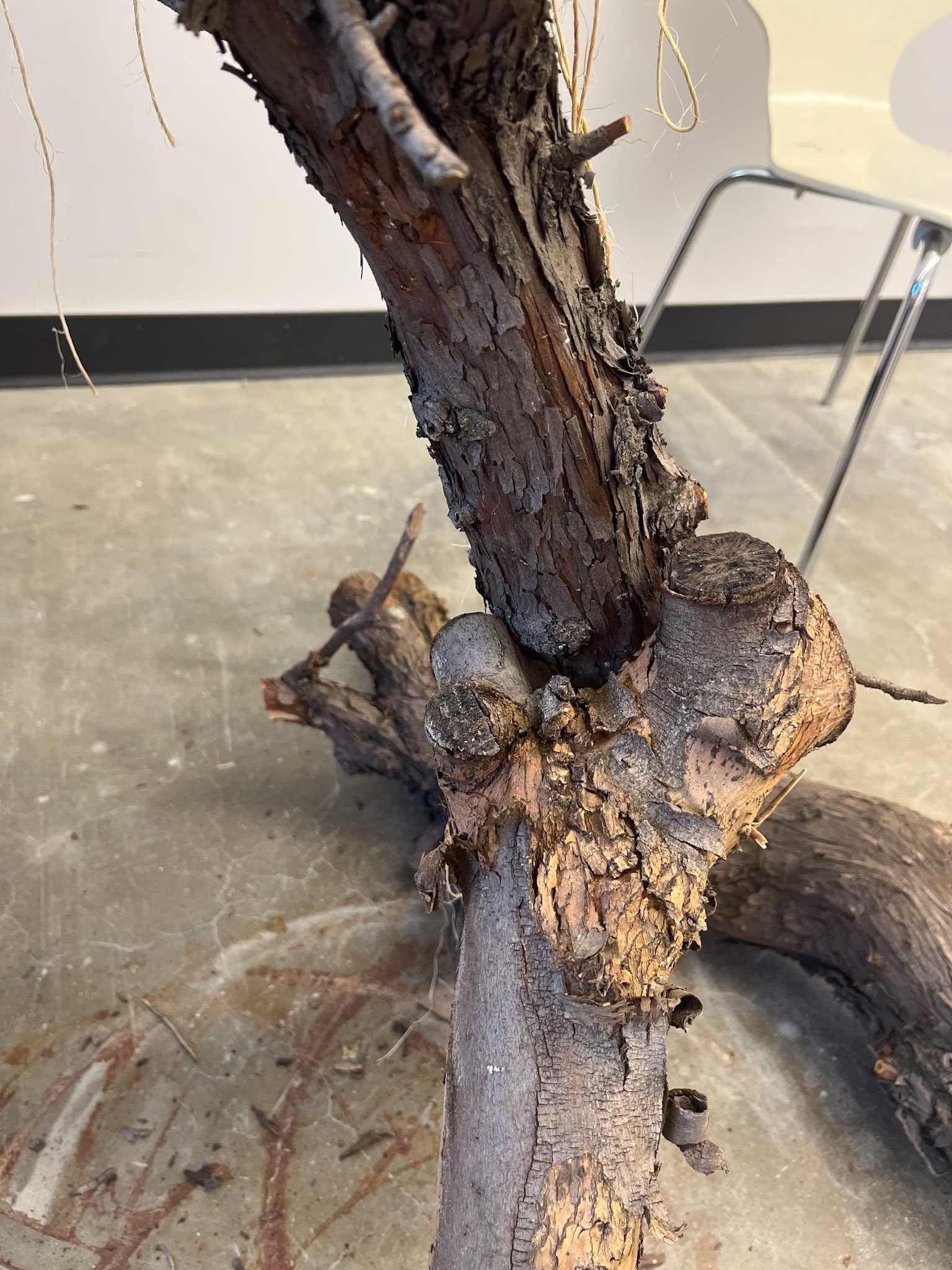 Playing with sticks.