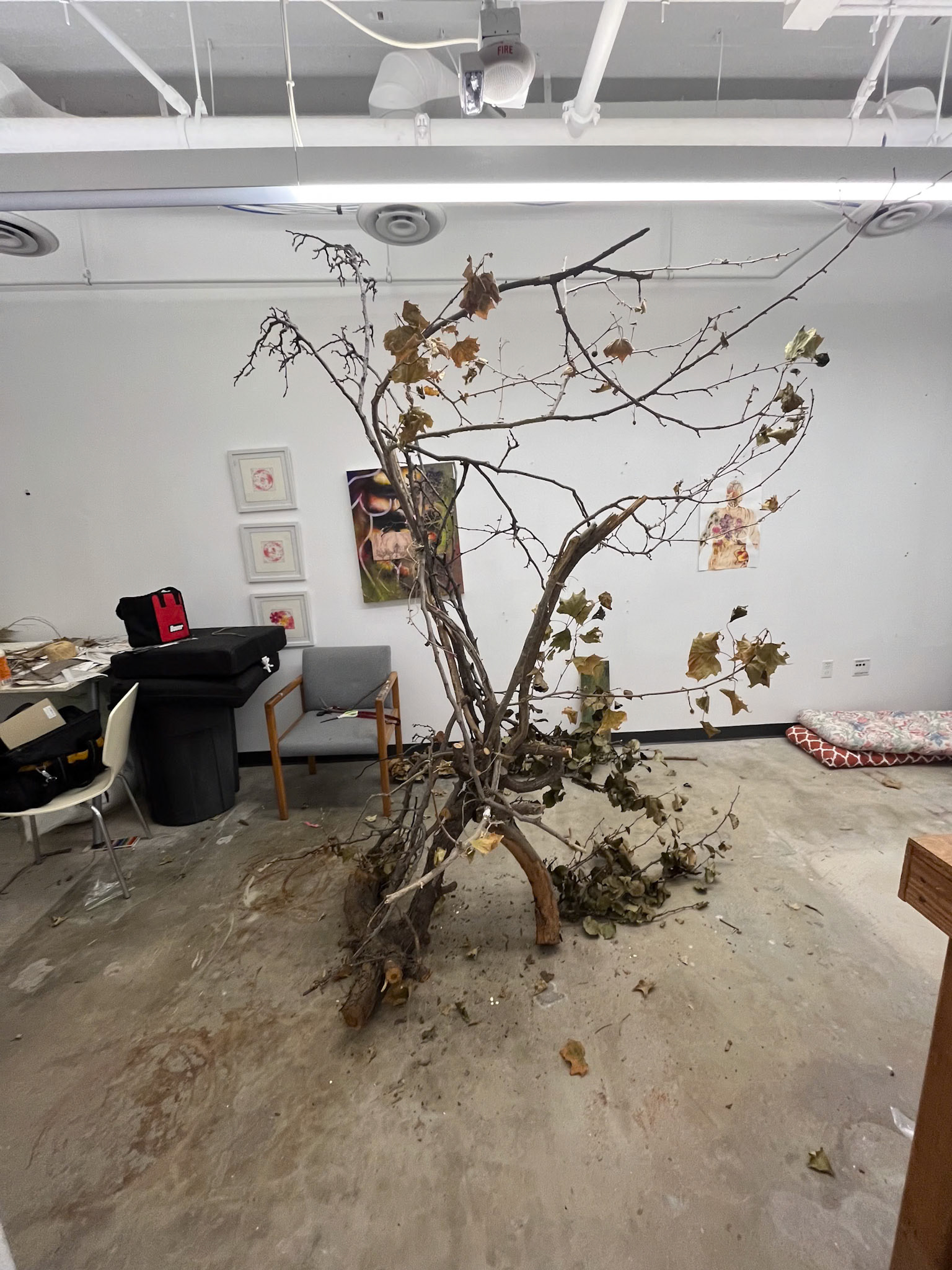 Pre thesis studio shot.