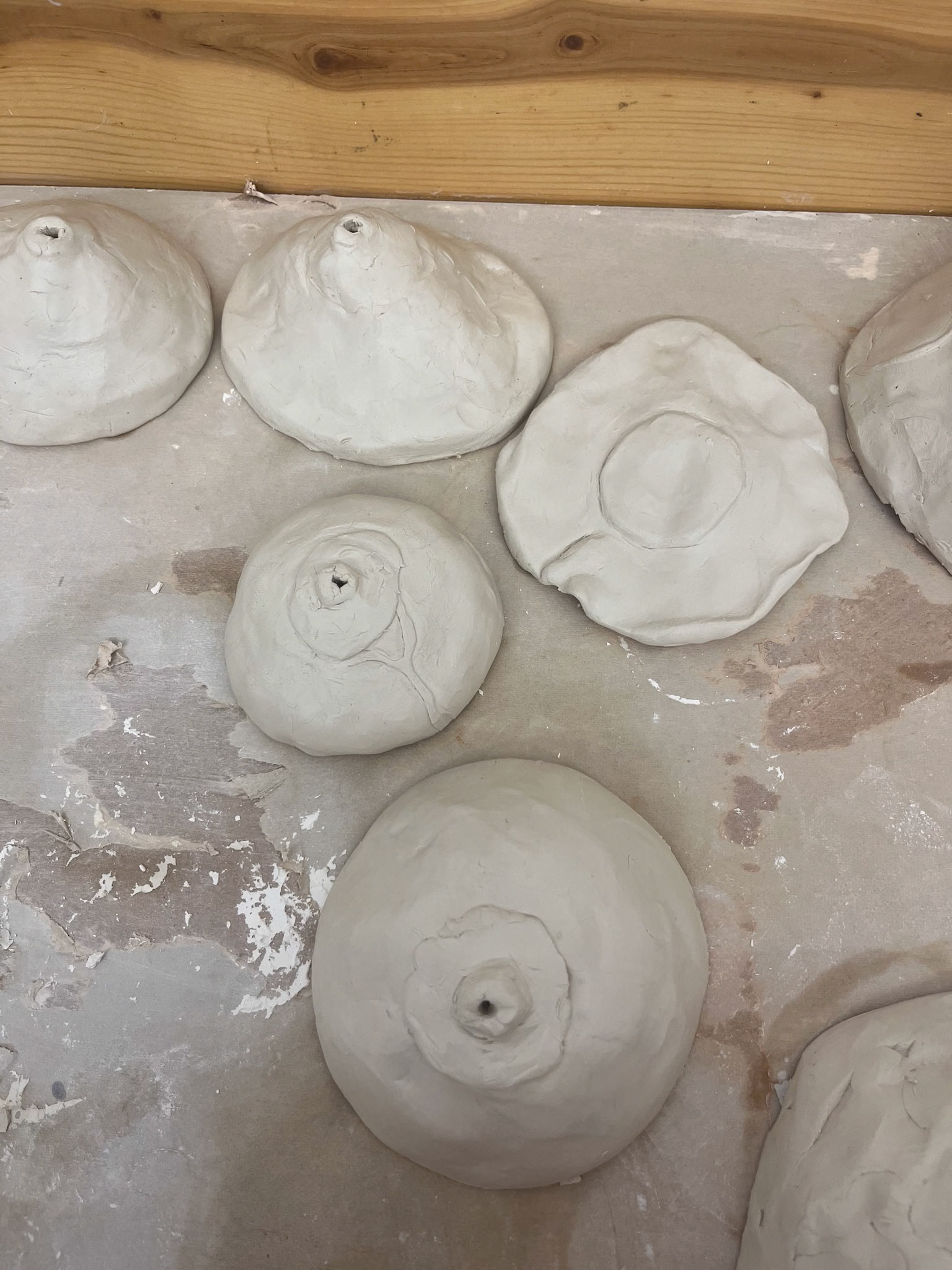 "Breast in Show" studio shots.