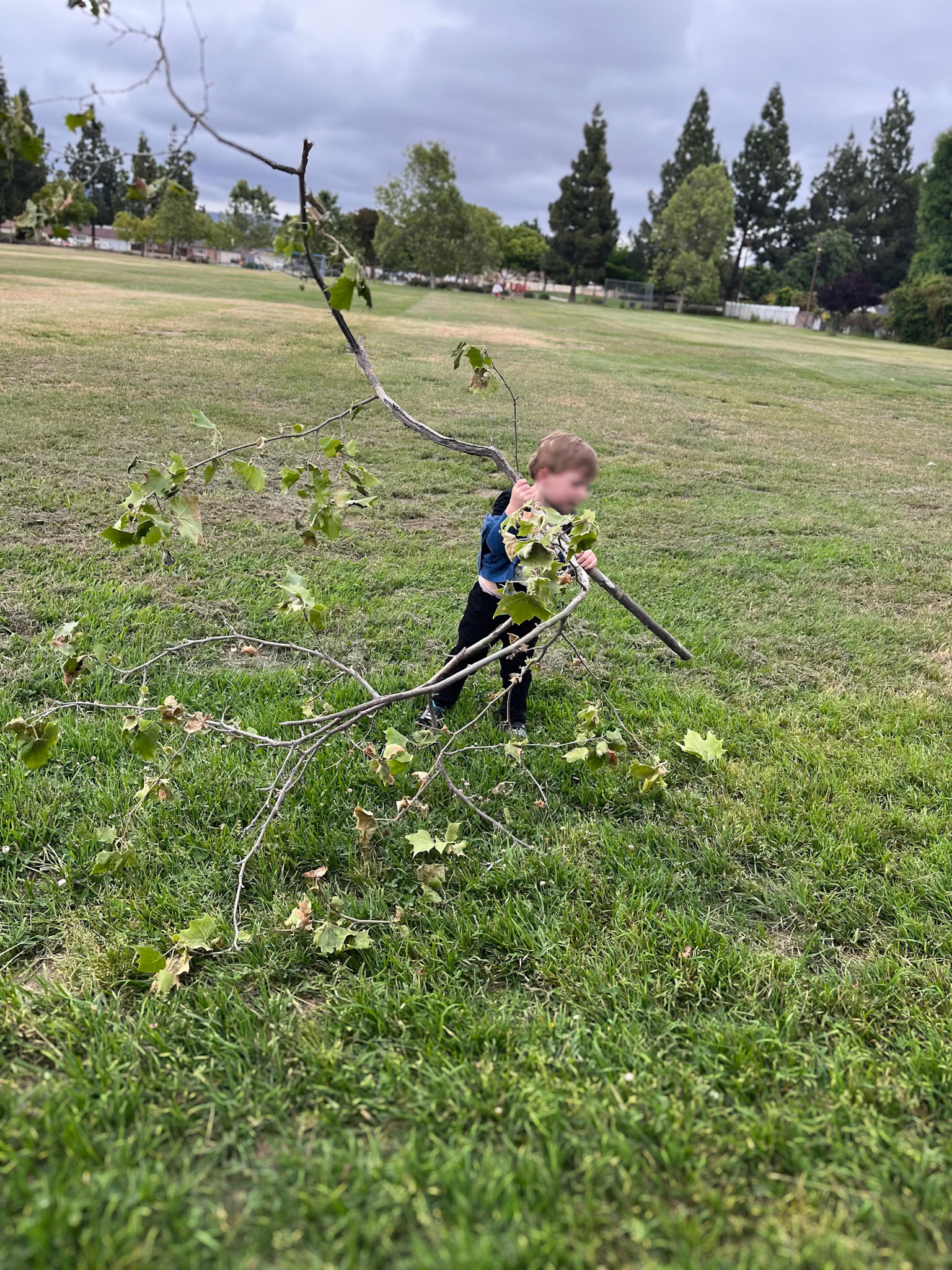 "Maternal Collaboration" research and studio.