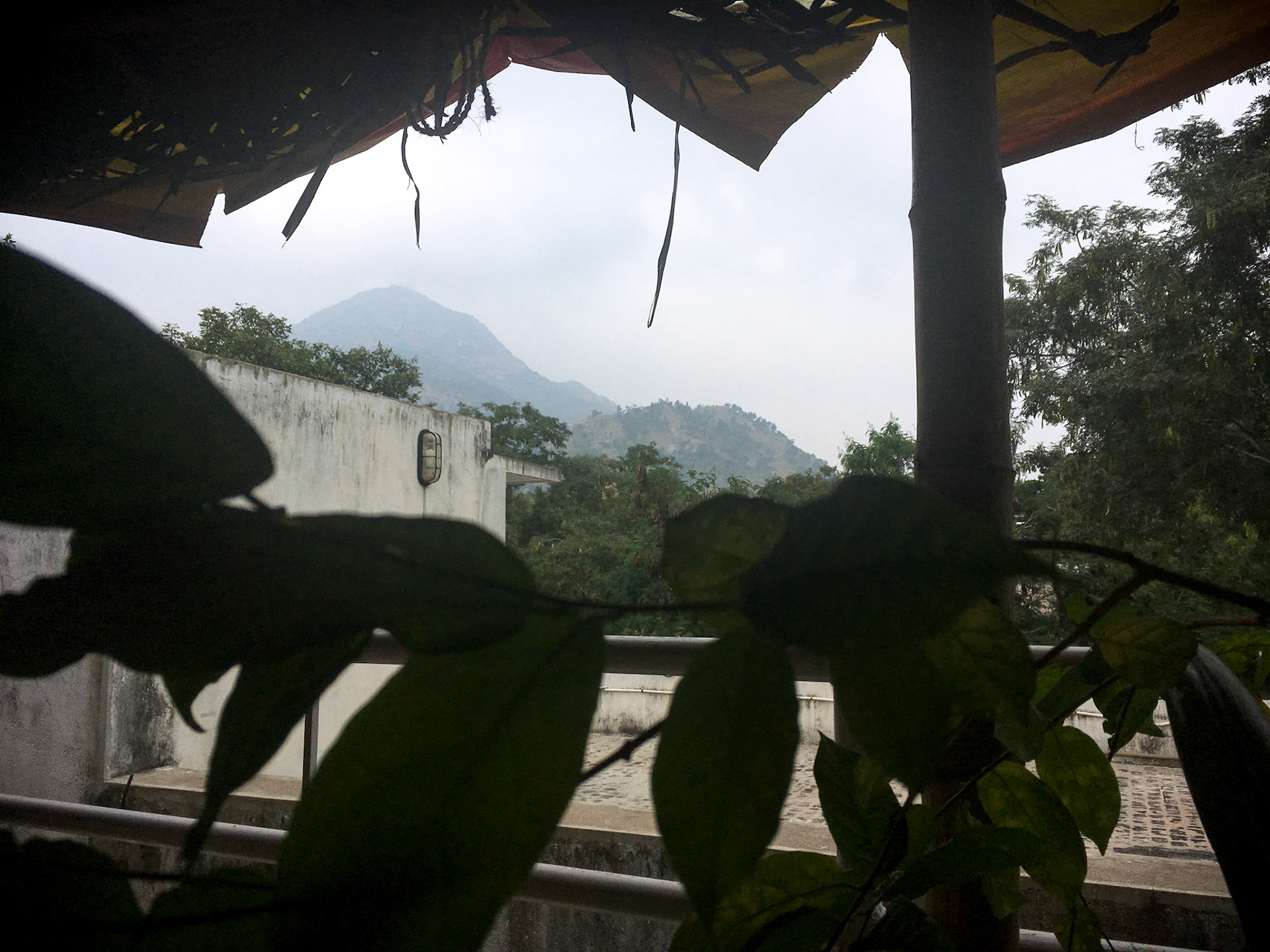 Arunachala Hill from The Dreaming Tree