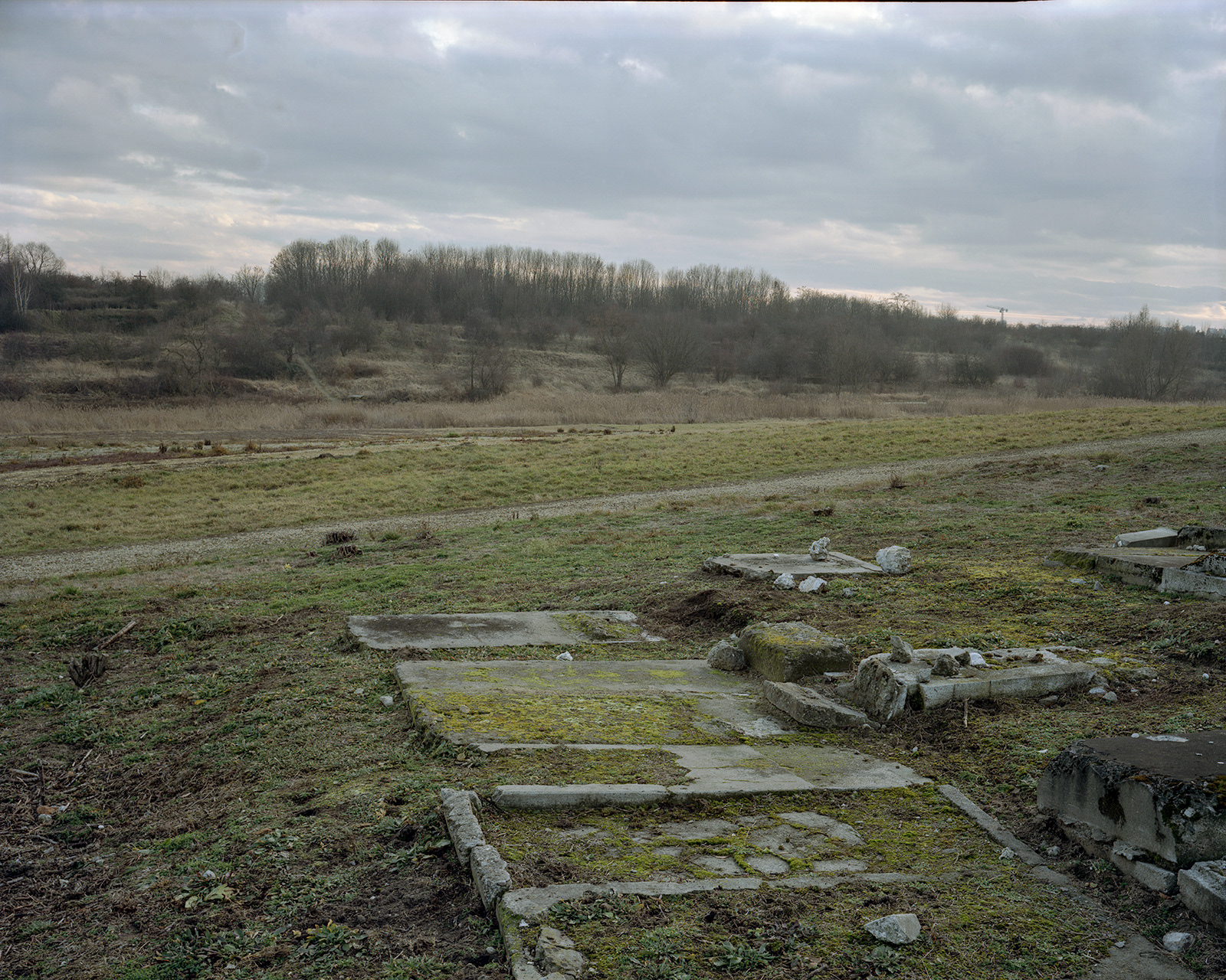 Pillaged Jewish graves on the site of the Płaszów camp, Kraków