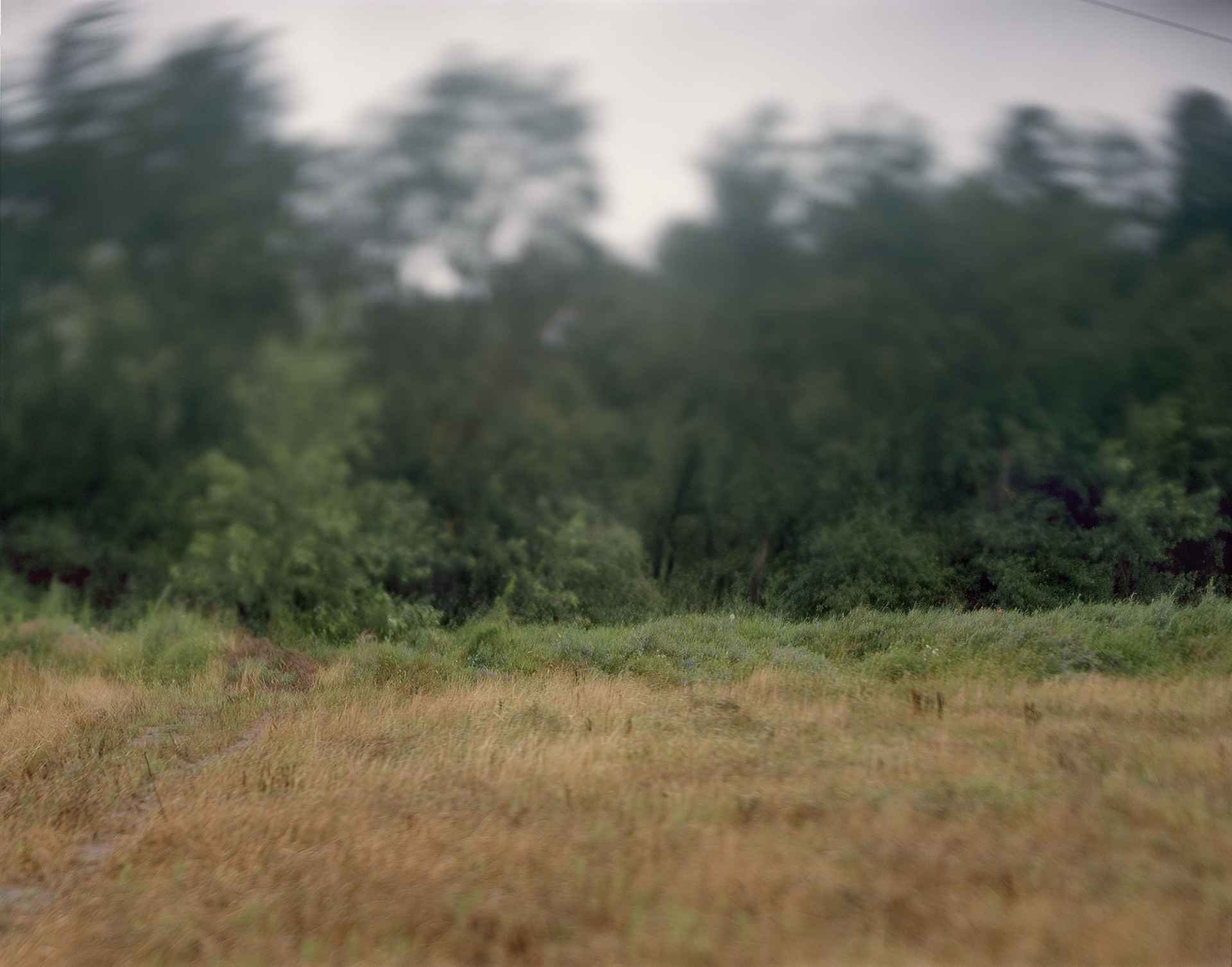 Lutsk, Ukraine, 2017 / View of the unmarked massacre site of the town's Jewish population.
