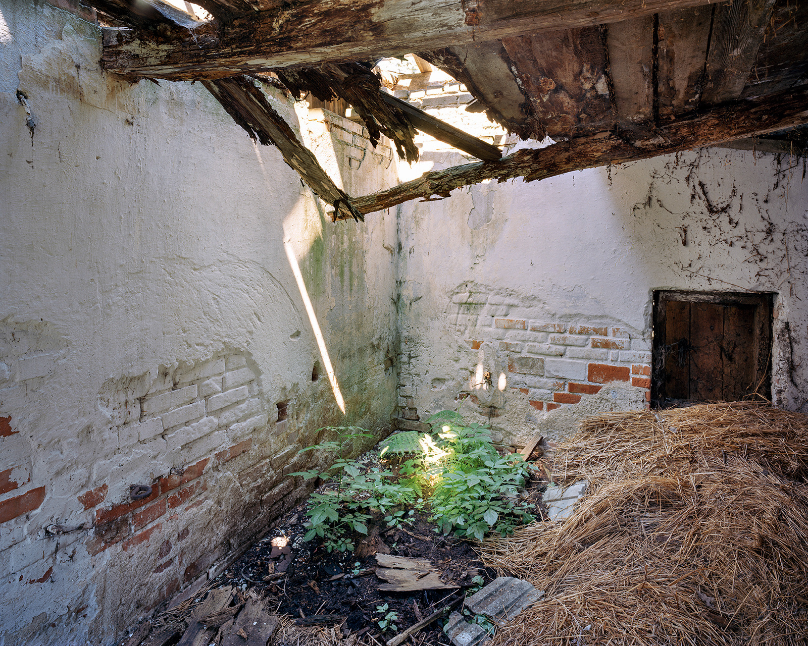The Trinczer house, Holocast massacre site, Gniewczyna