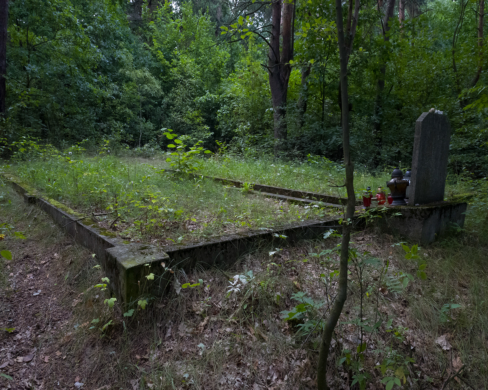 Mass grave of Holocaust victims, Kolbuszowa