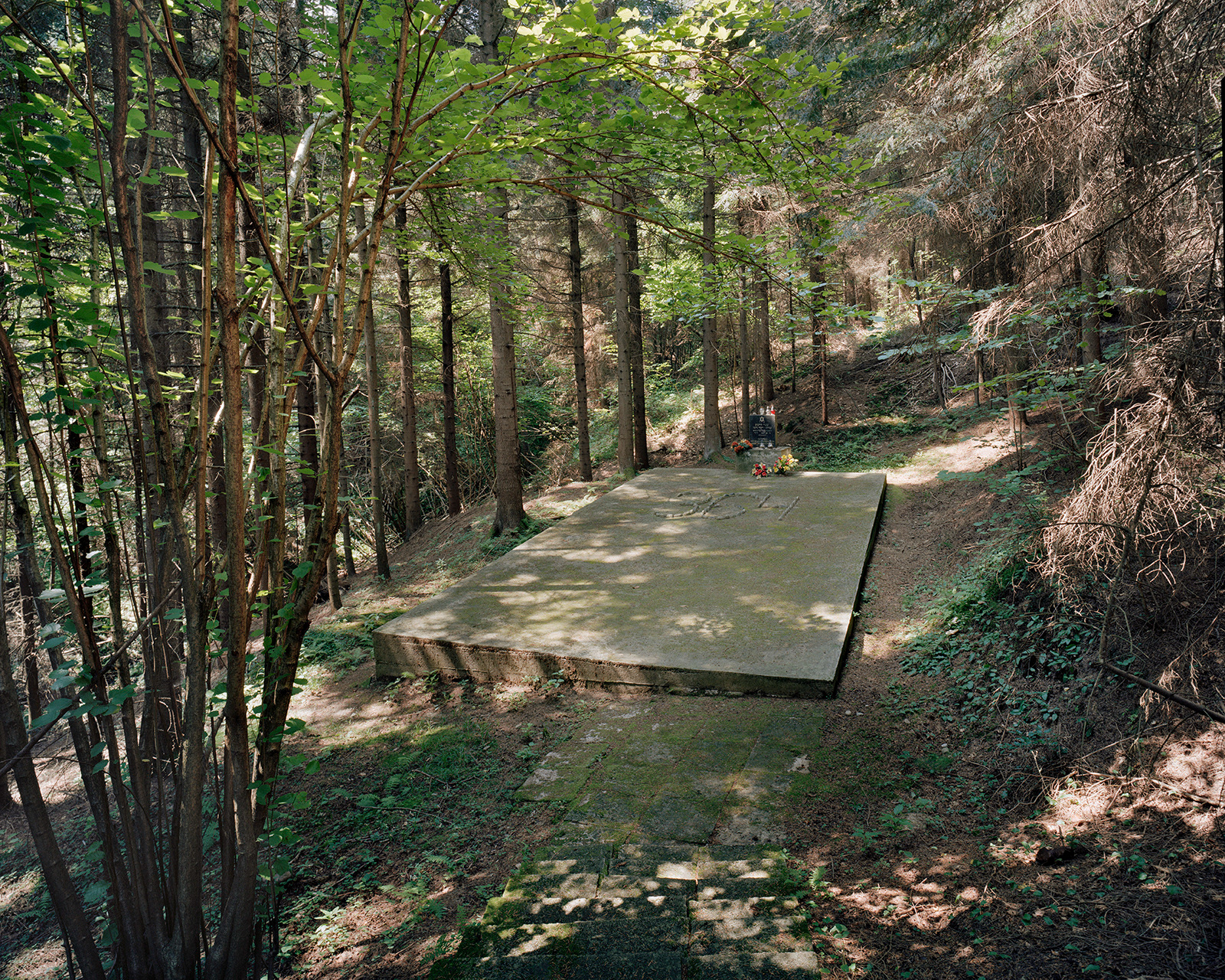 Holocaust mass grave, Rzepiennik Strzyżewski