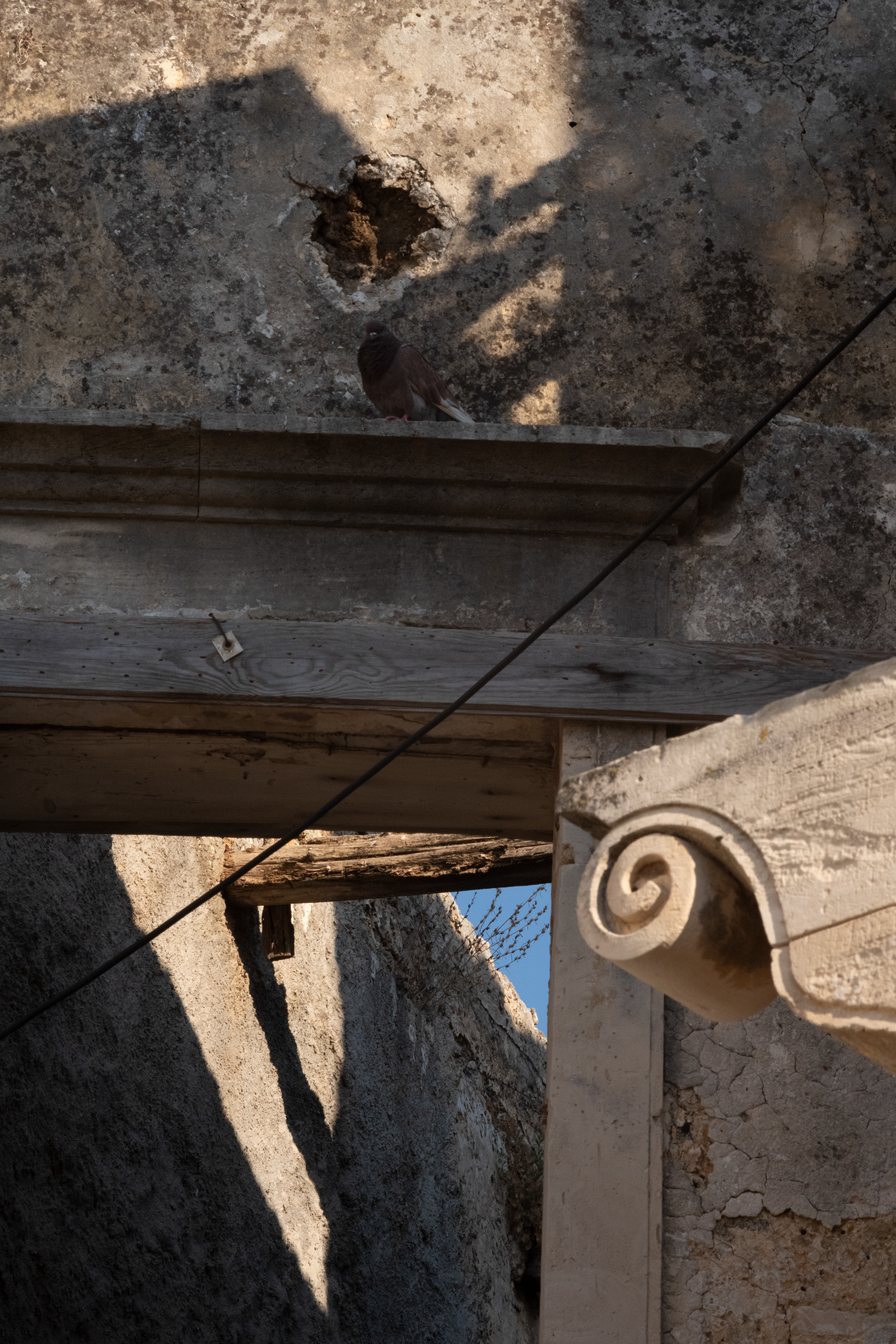 Jason Francisco / Fundaments of the Venetian city, Chania