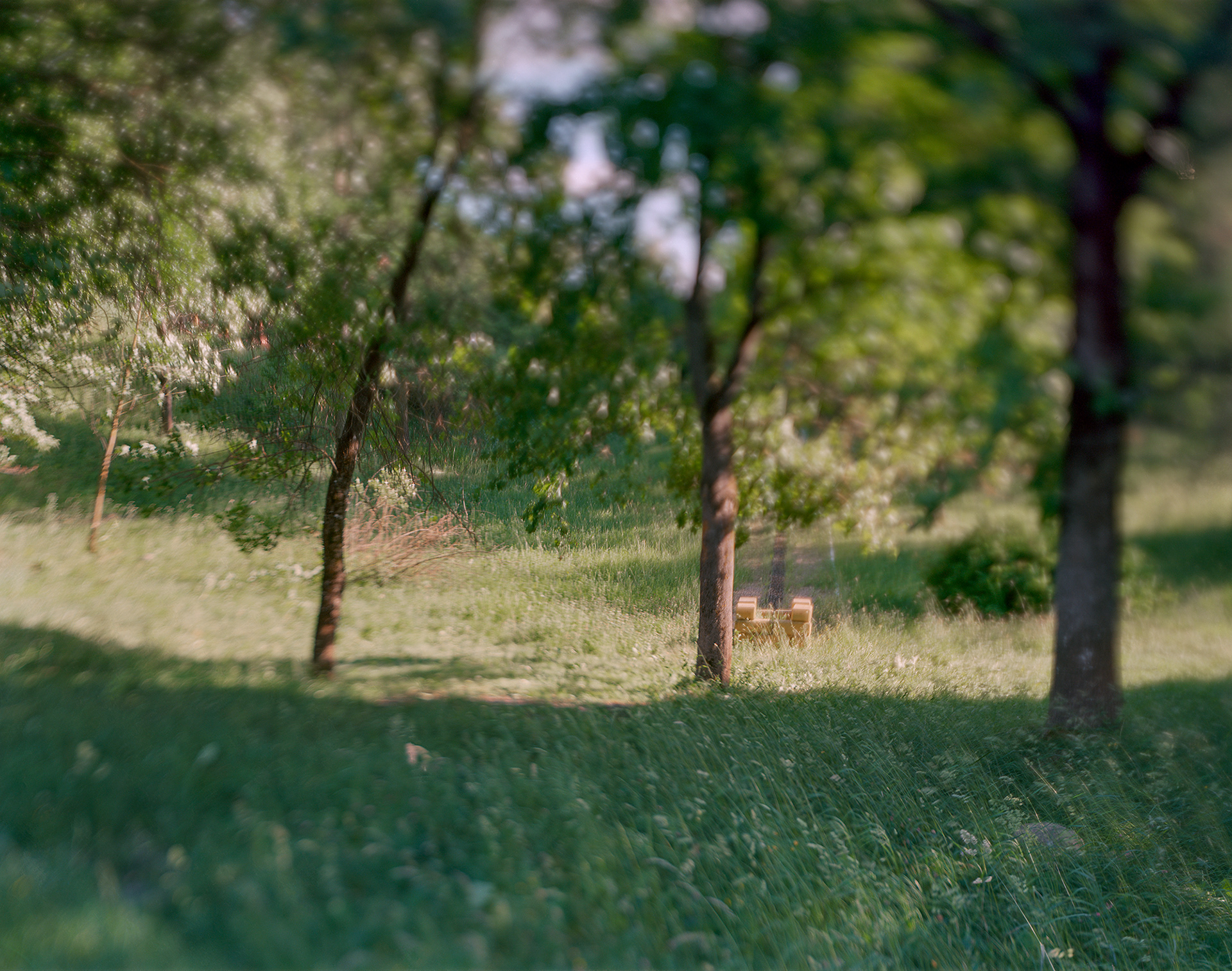 Mir, Belarus, 2018 / Massacre site of the town's Jews in 1941.