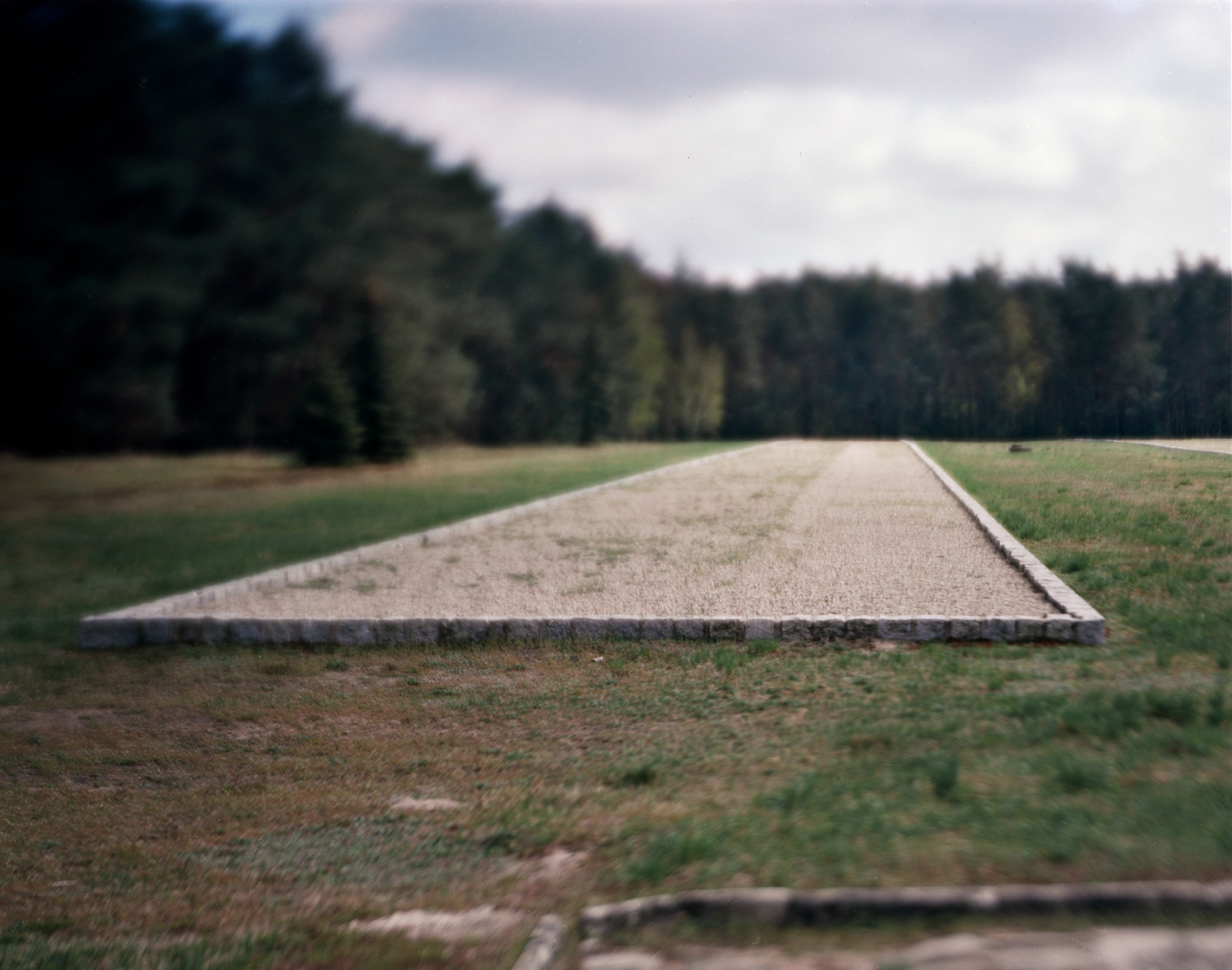 Chełmno, Poland, 2018 / One of several Jewish mass graves in the first of the Nazi death camps.