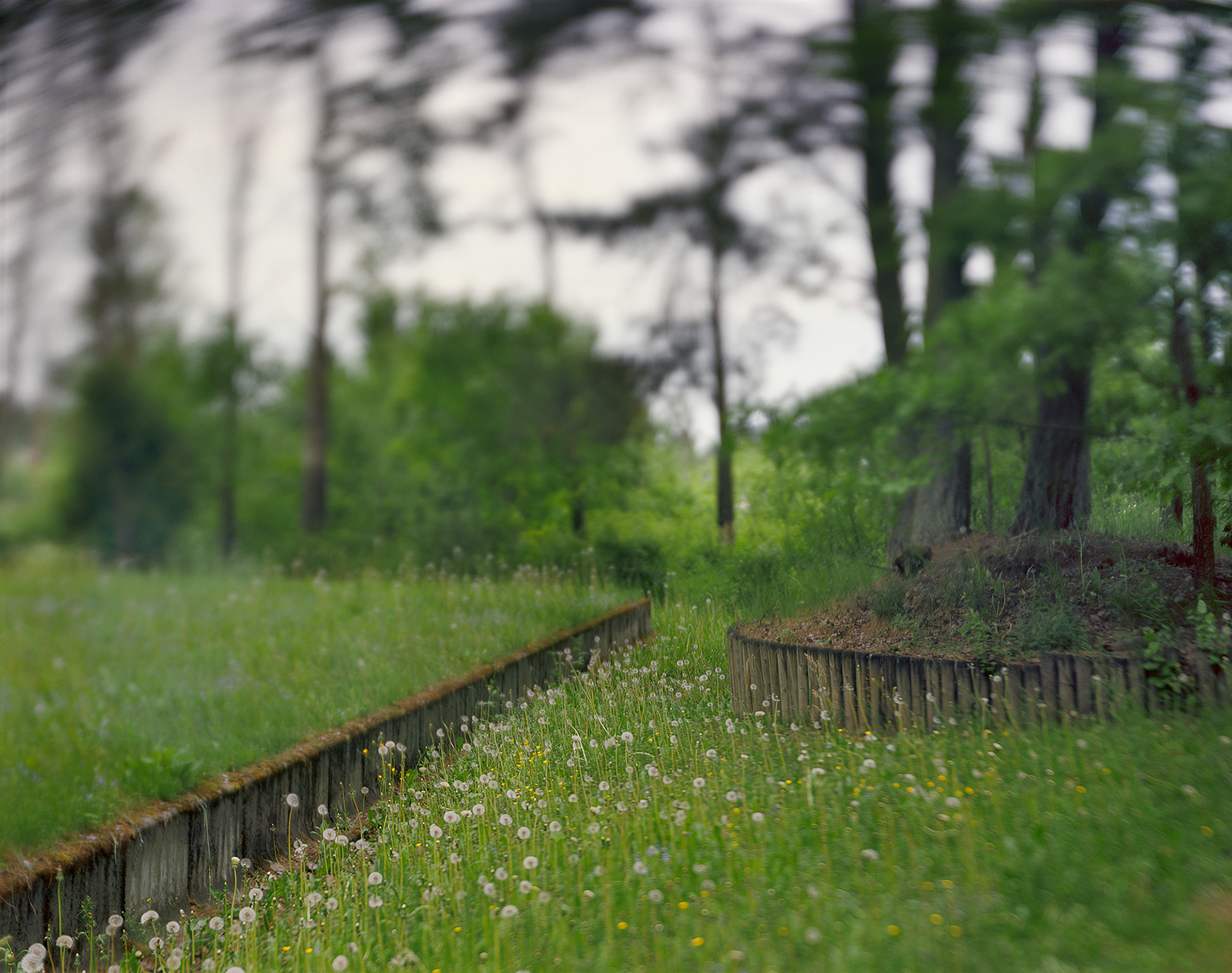 Riga, Latvia, 2017 / In the Rumbala forest, among the many forest mass graves of the Jews of Riga.