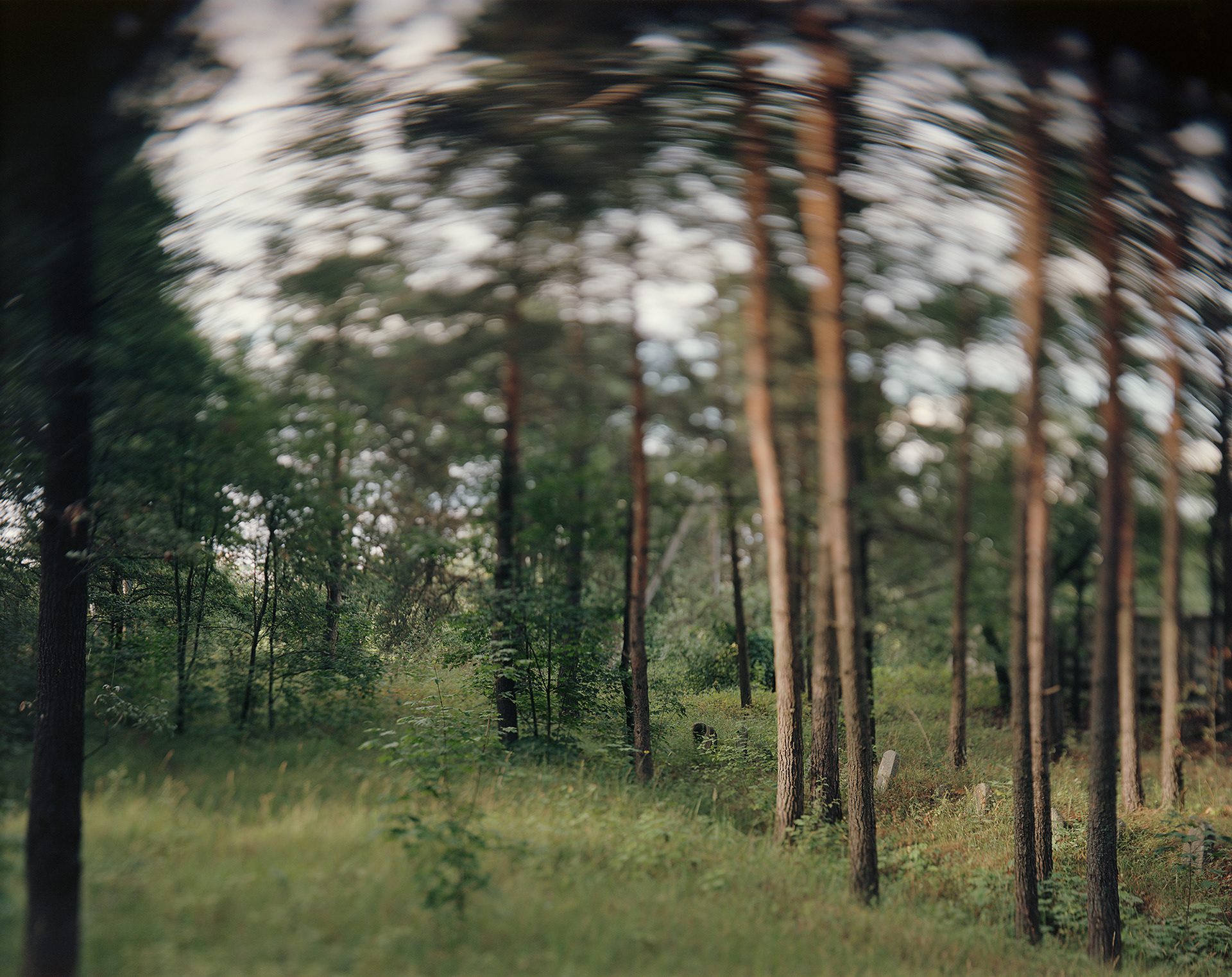 Vierchniadzvinsk, Belarus, 2019 / Massacre site and mass grave of the Jews of Verhnyadvinsk (formerly Drissa).