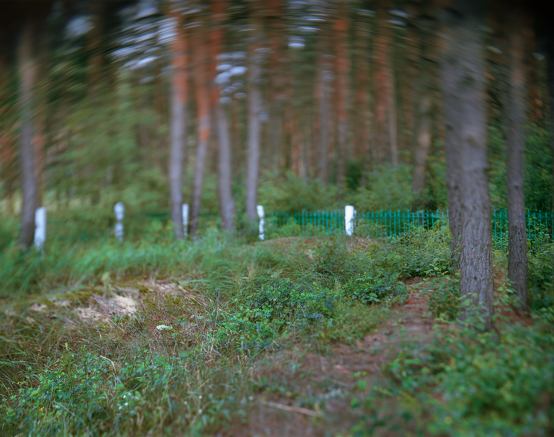 Ščadryn, Belarus, 2019 / Massacre site and mass grave of the hamlet's Jewish people.
