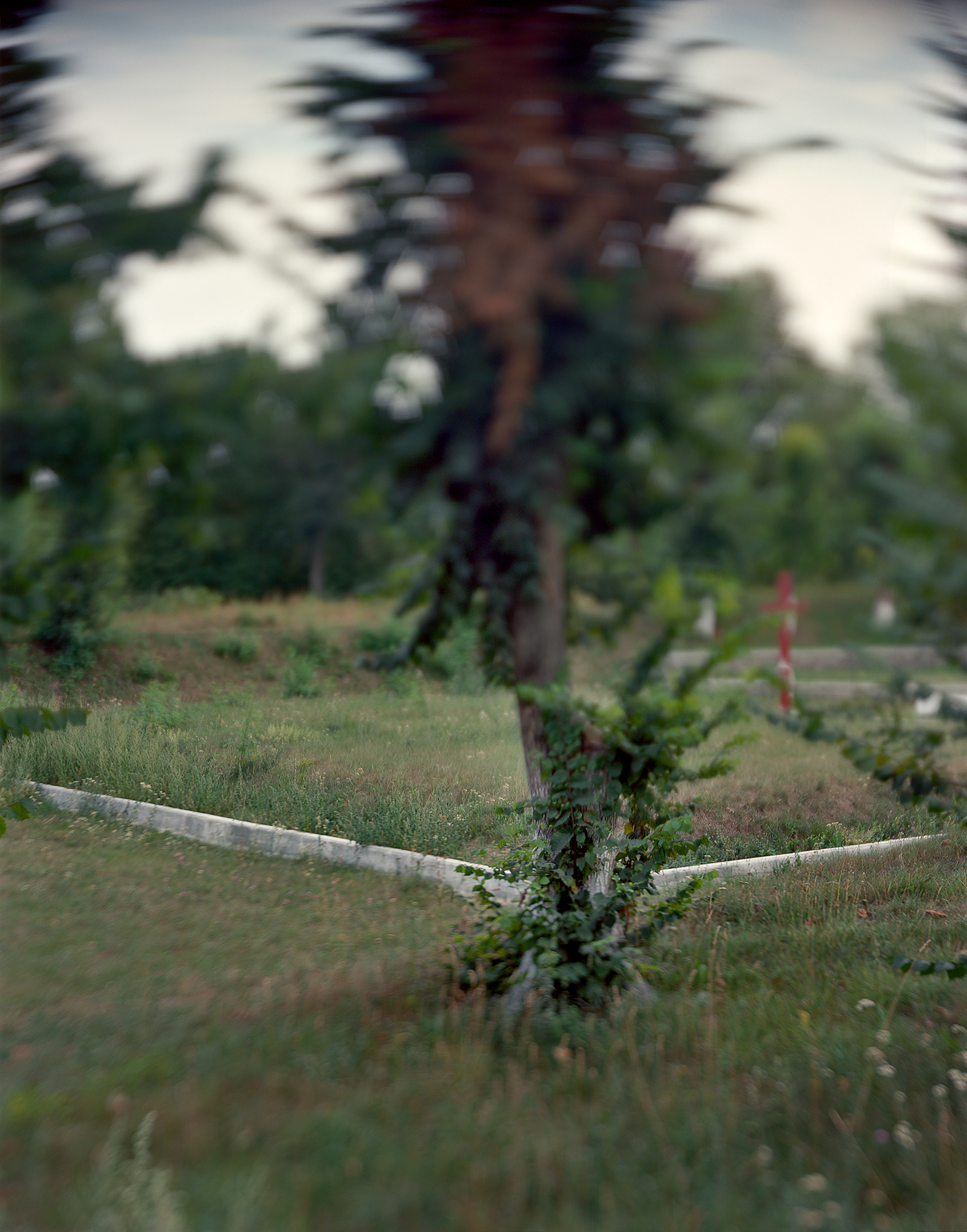 Haisyn, Ukraine, 2017 / Mass graves of the town's Jewish population.