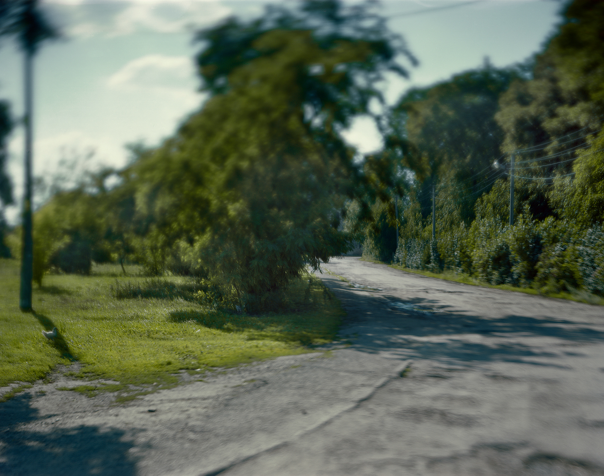 Uhniv, Ukraine, 2018 / The center of what was once a thriving Jewish town.