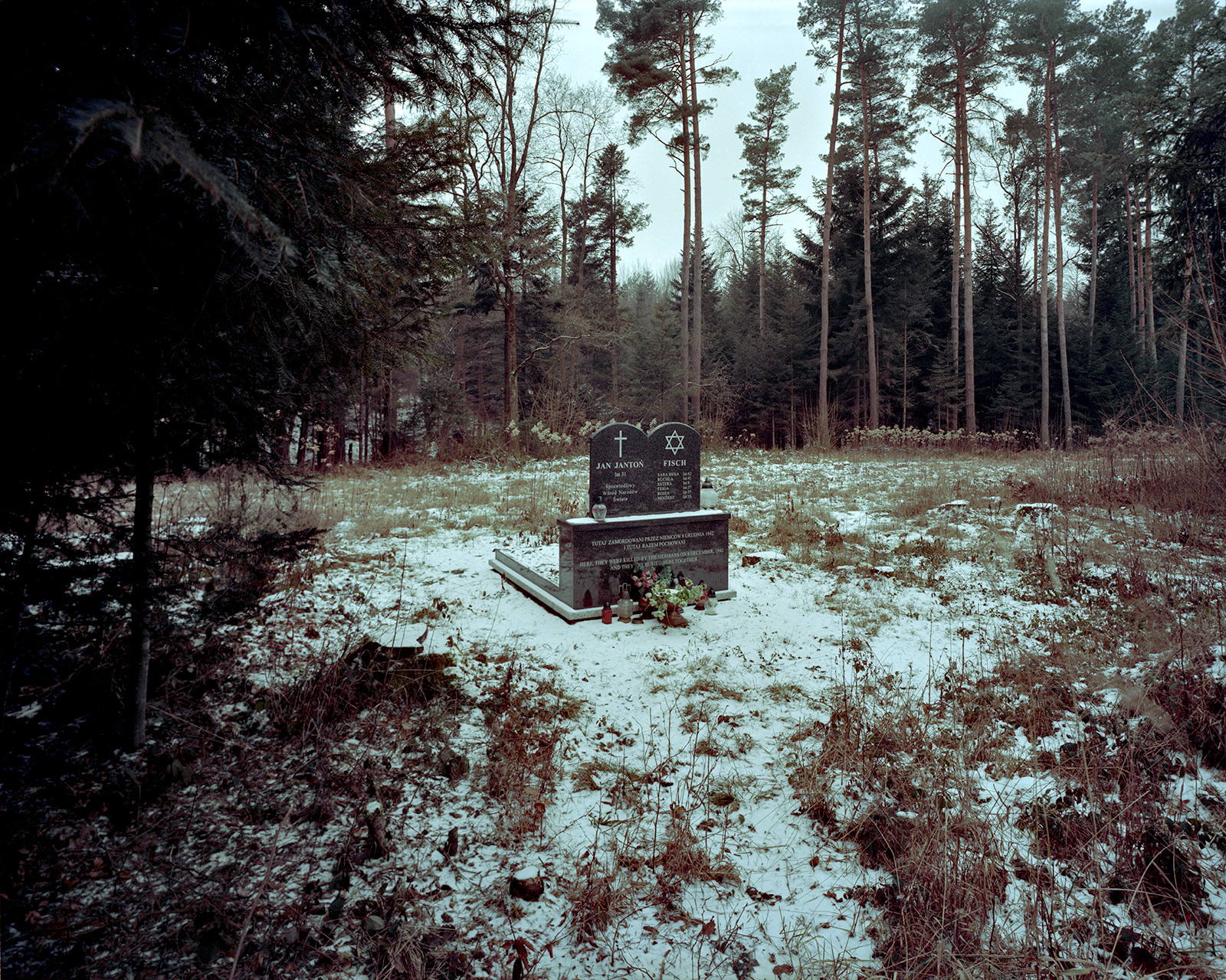 New forest tombstone, Jasło. An unusual double gravestone for the Jewish Fisch family and the Polish man who was murdered with them for attempting to rescue them, Jan Jantoń