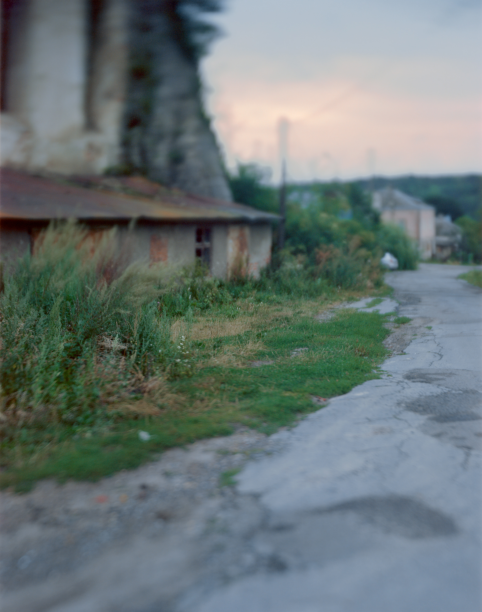  Pidhaitsi, Ukraine, 2017/  View beside the town's massive and destroyed synagogue.