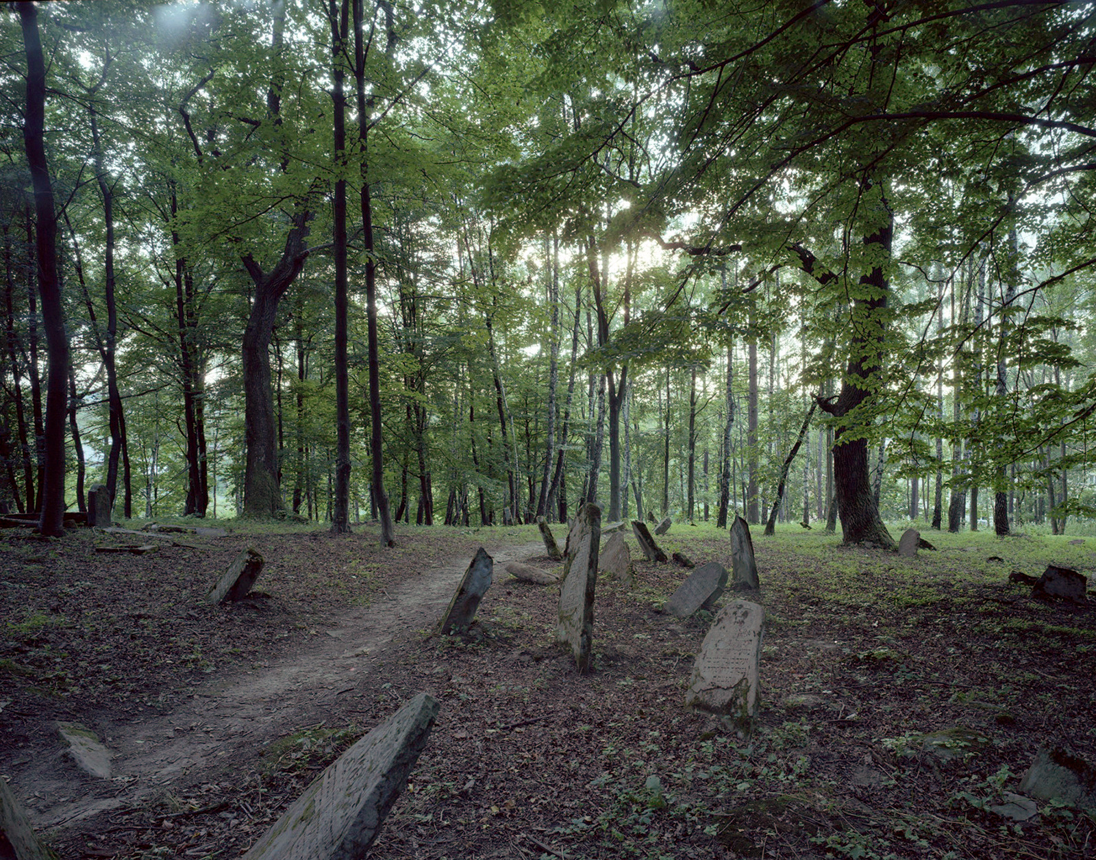 Largely destroyed ancient Jewish cemetery, Lesko