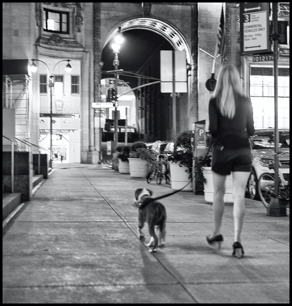 New York 2017