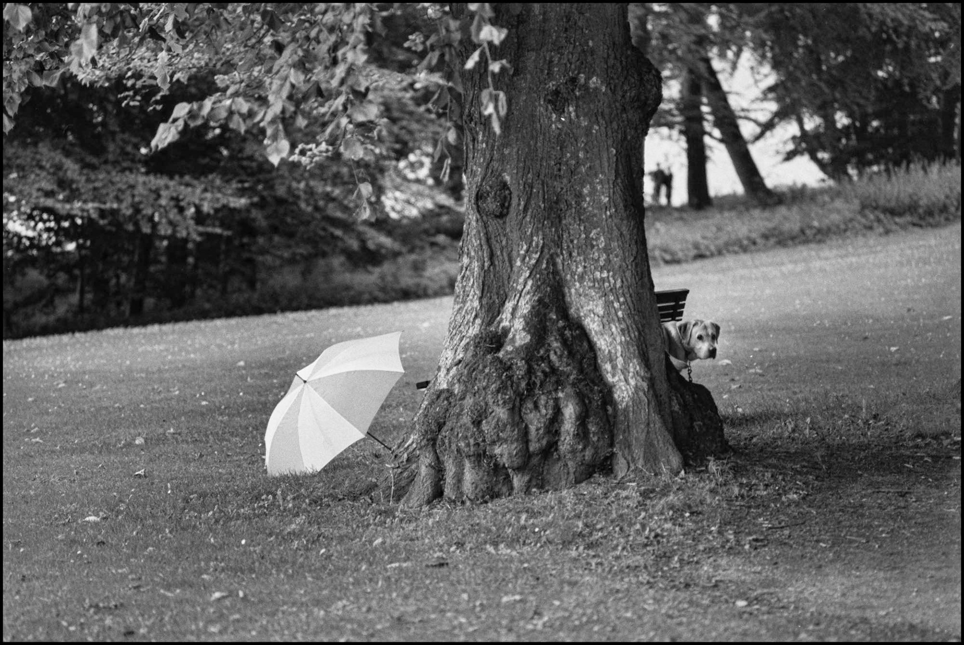 Copenhagen 1987