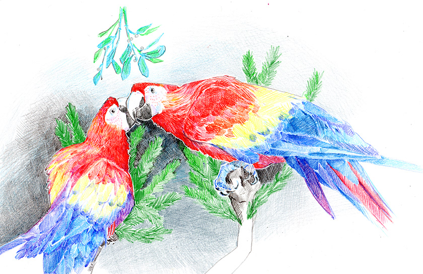 Colored Pencil on Smooth Bristol