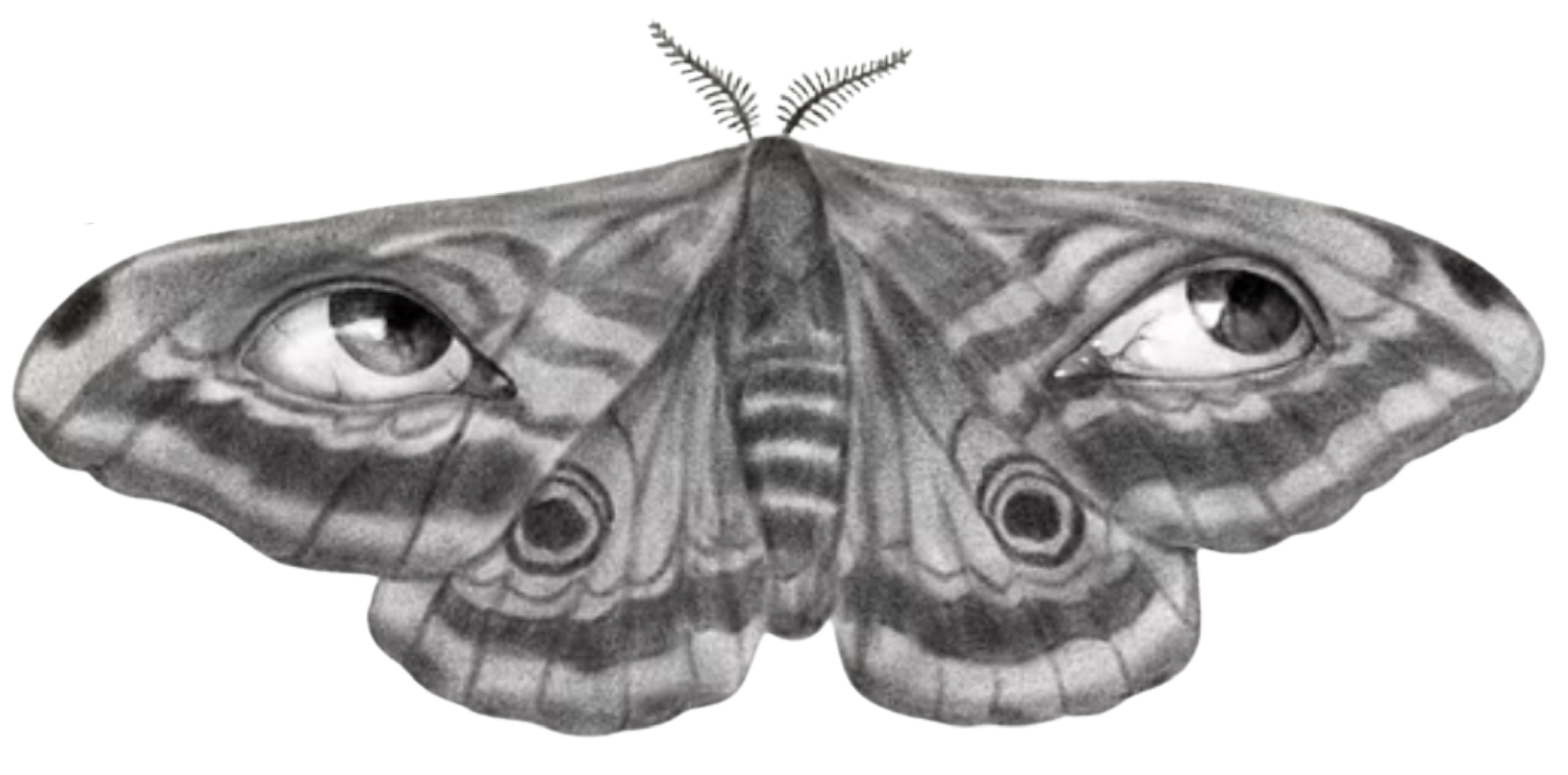 Stefania Gambella