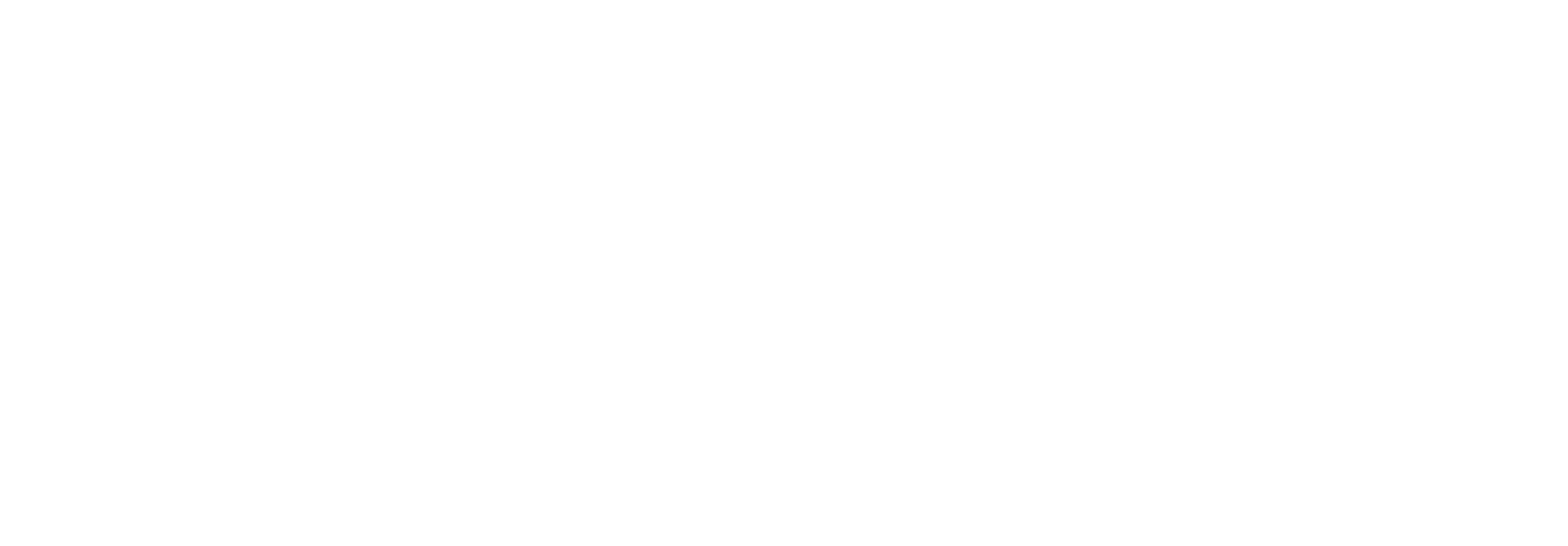 constantin Iandolino