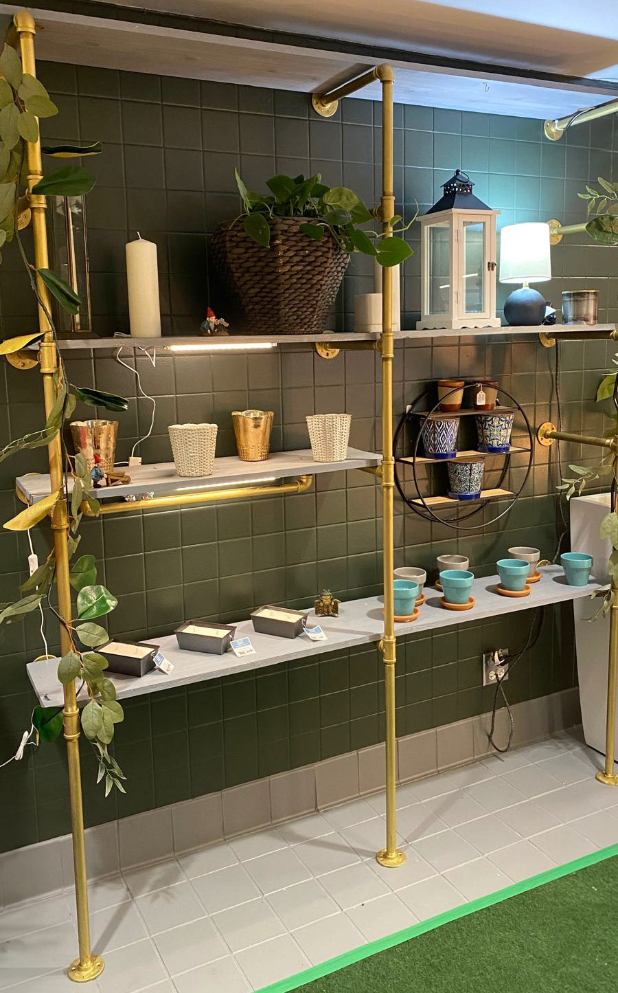 plants, seeds, terrarium kits
