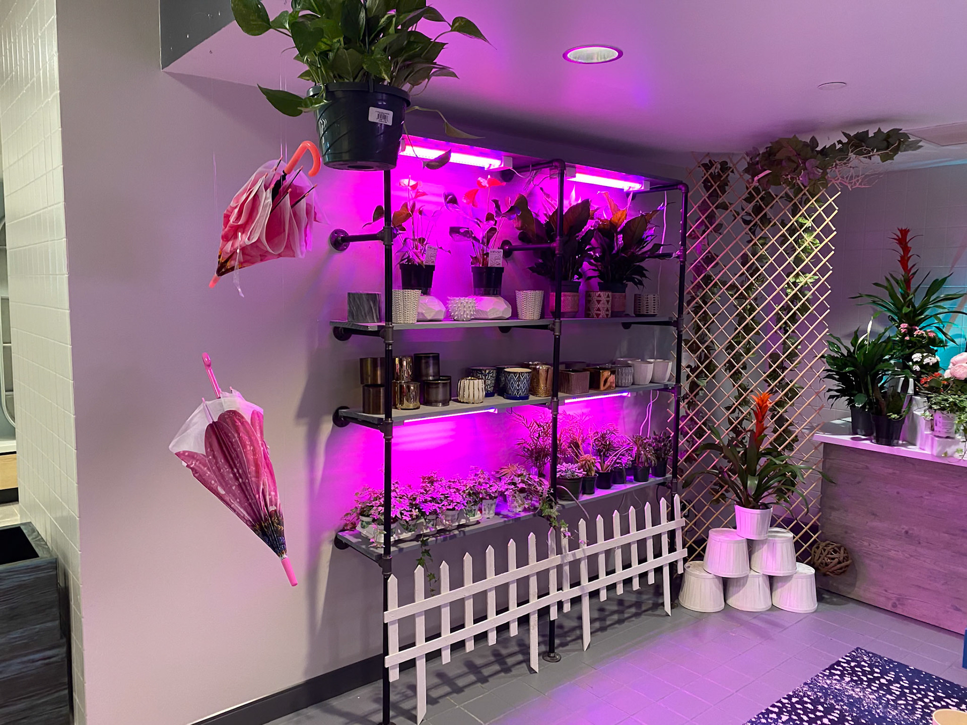 flower umbrellas served as a front "wall"