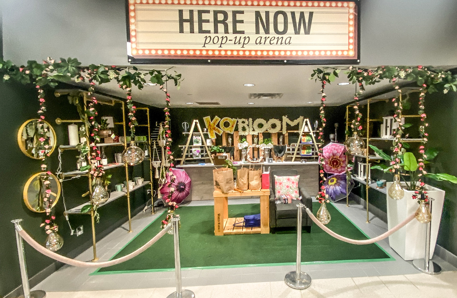 setting up for KaBloom- a spring launch