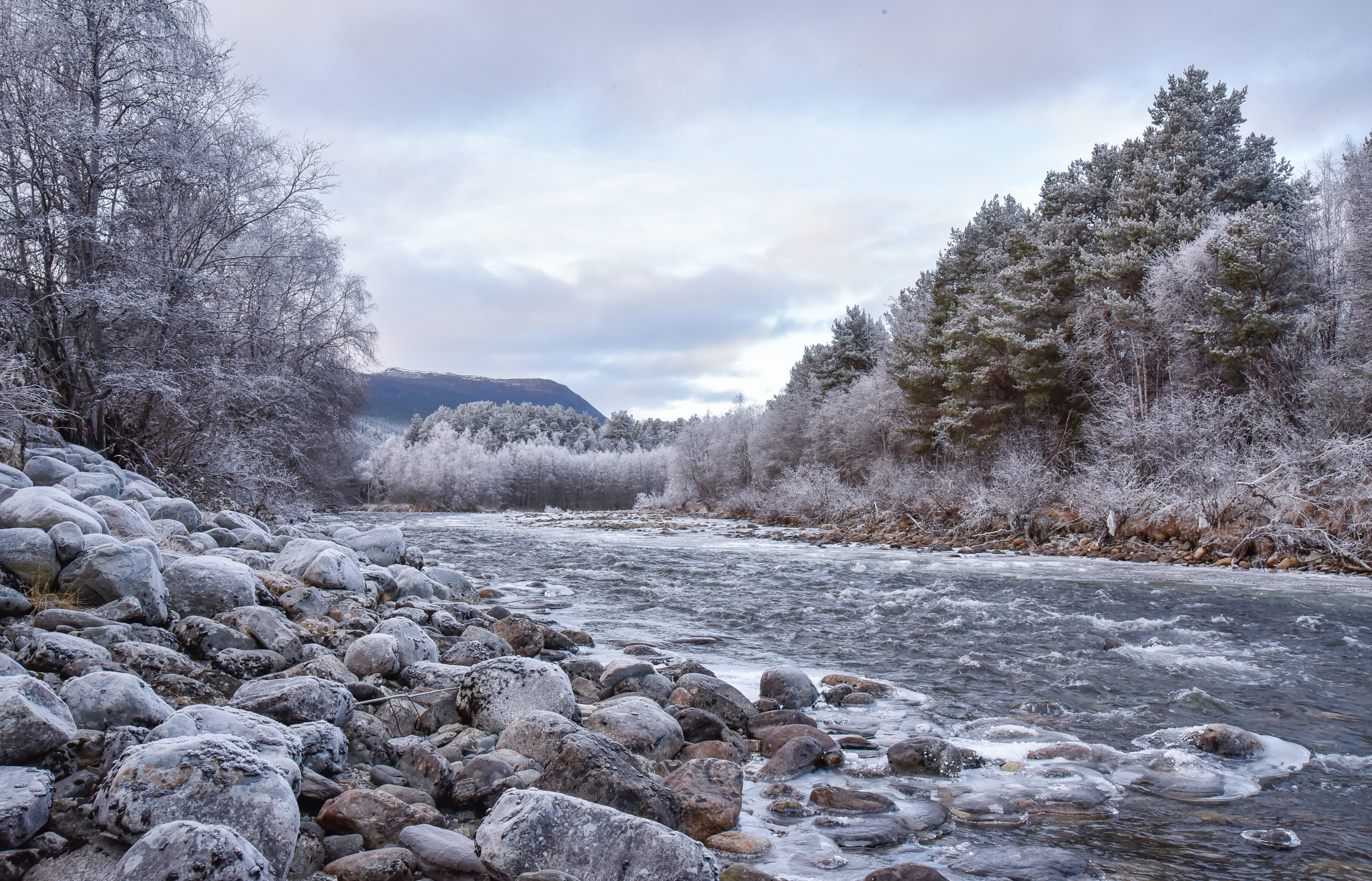 Dovre Natinal Park