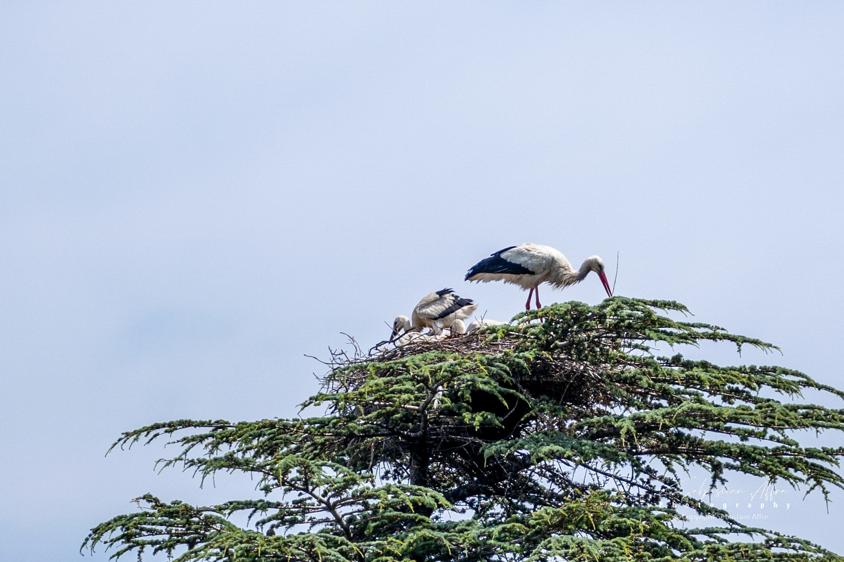 Parc du Château de Valmy