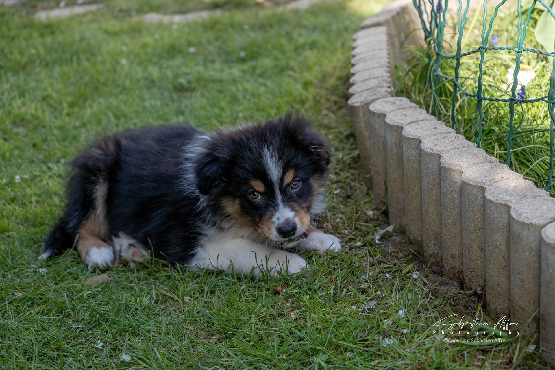 2 Mois